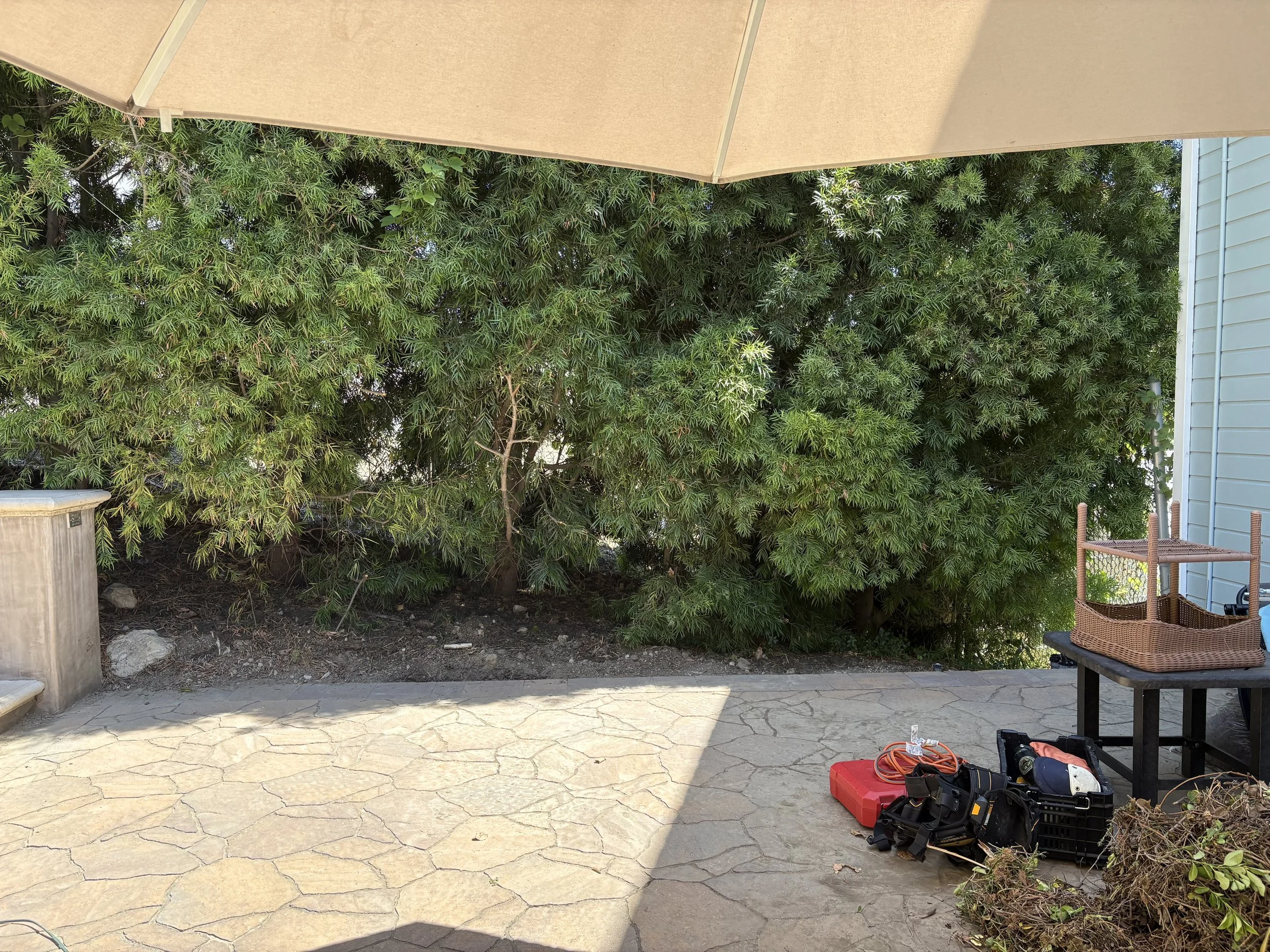 Before: Retaining wall needed for minor soil runoff
