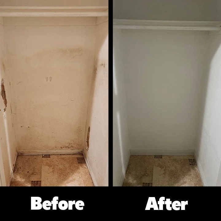 Drywall remediation and replacement