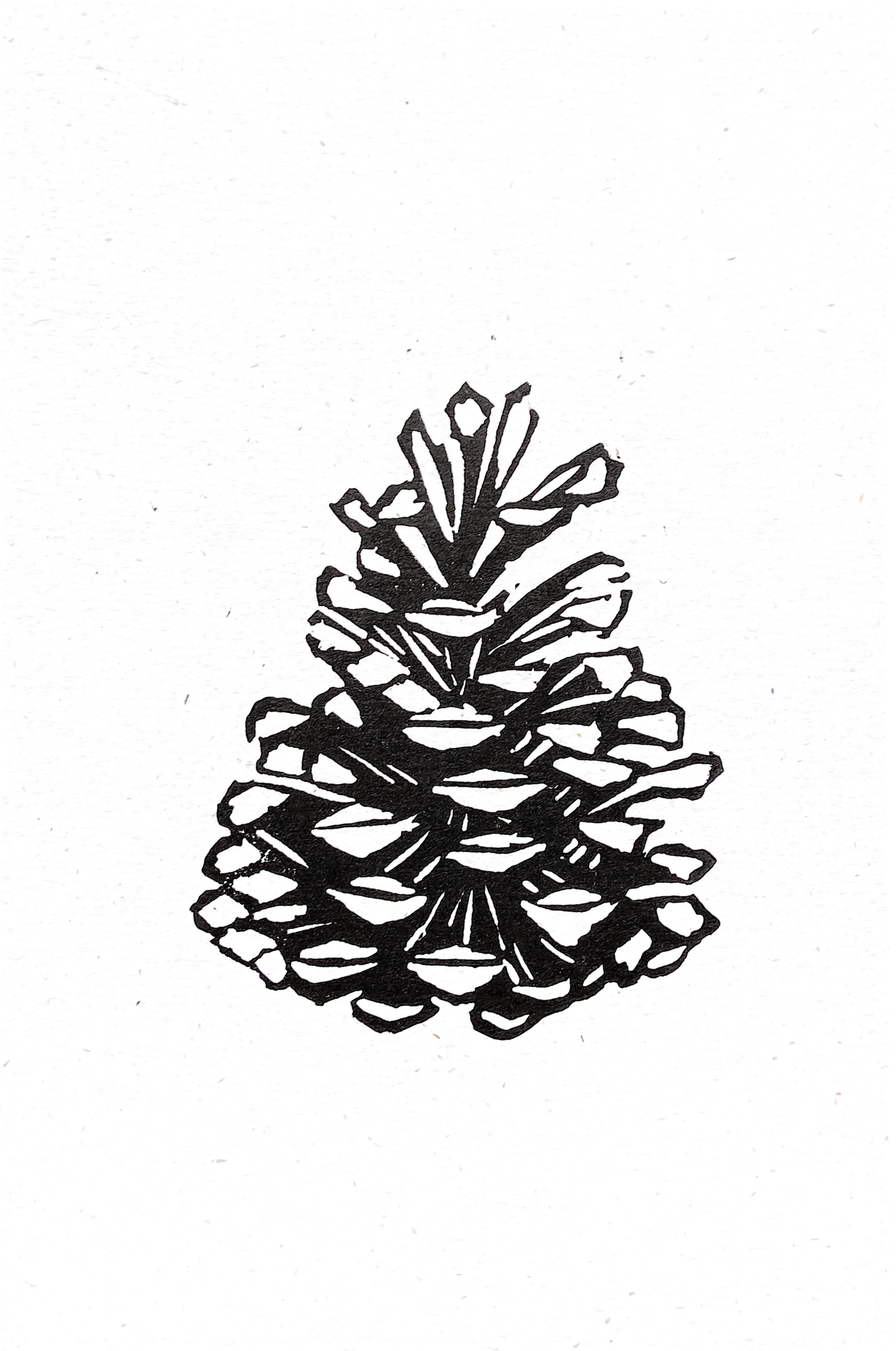 pinecone.jpg