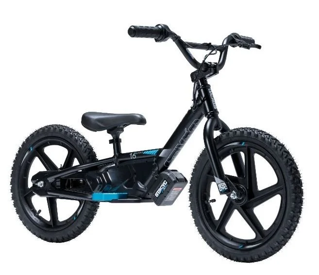 Stacyc, 16 EDrive, Brushless.JPG