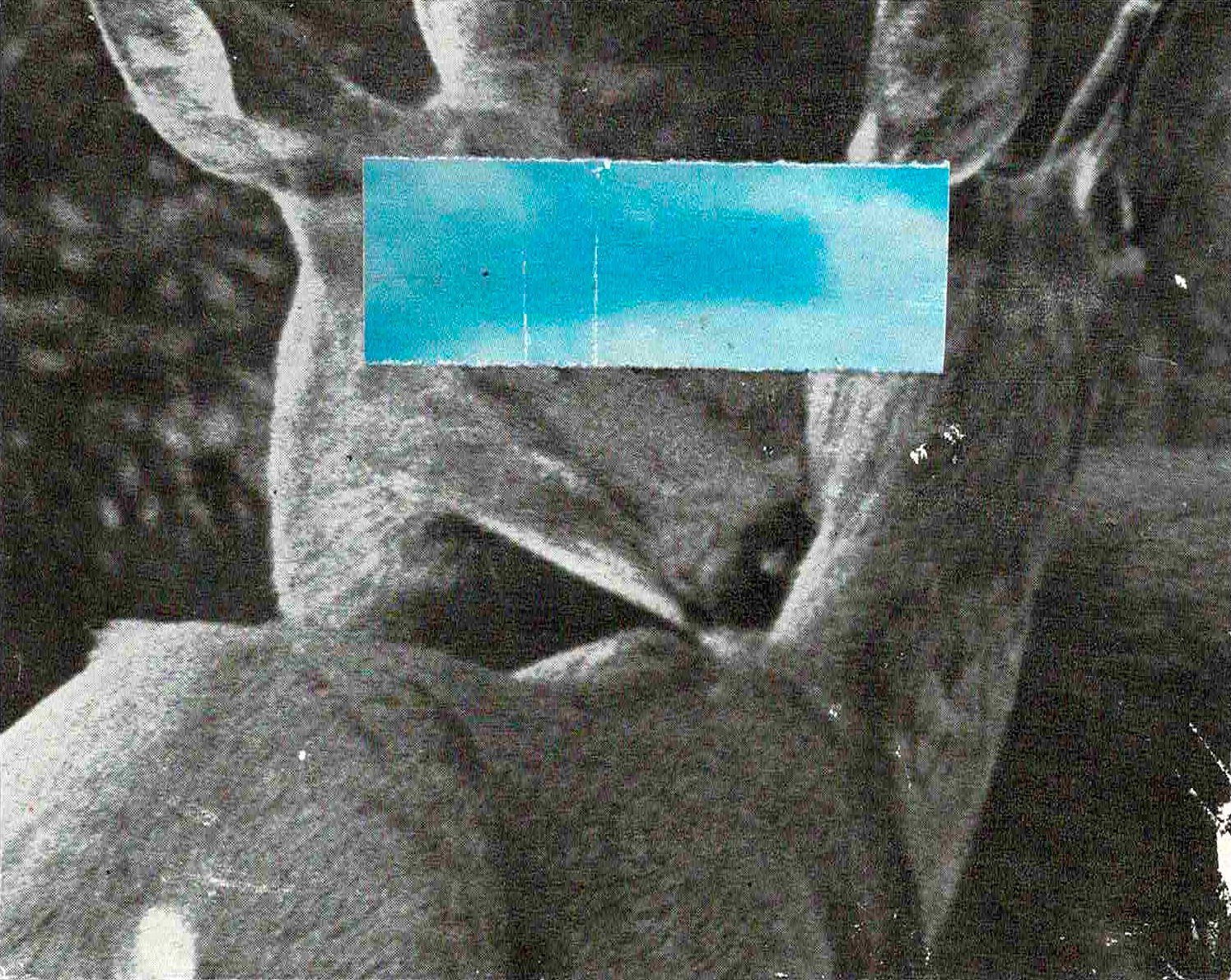 “Deer Secrets” collage postcard 2026