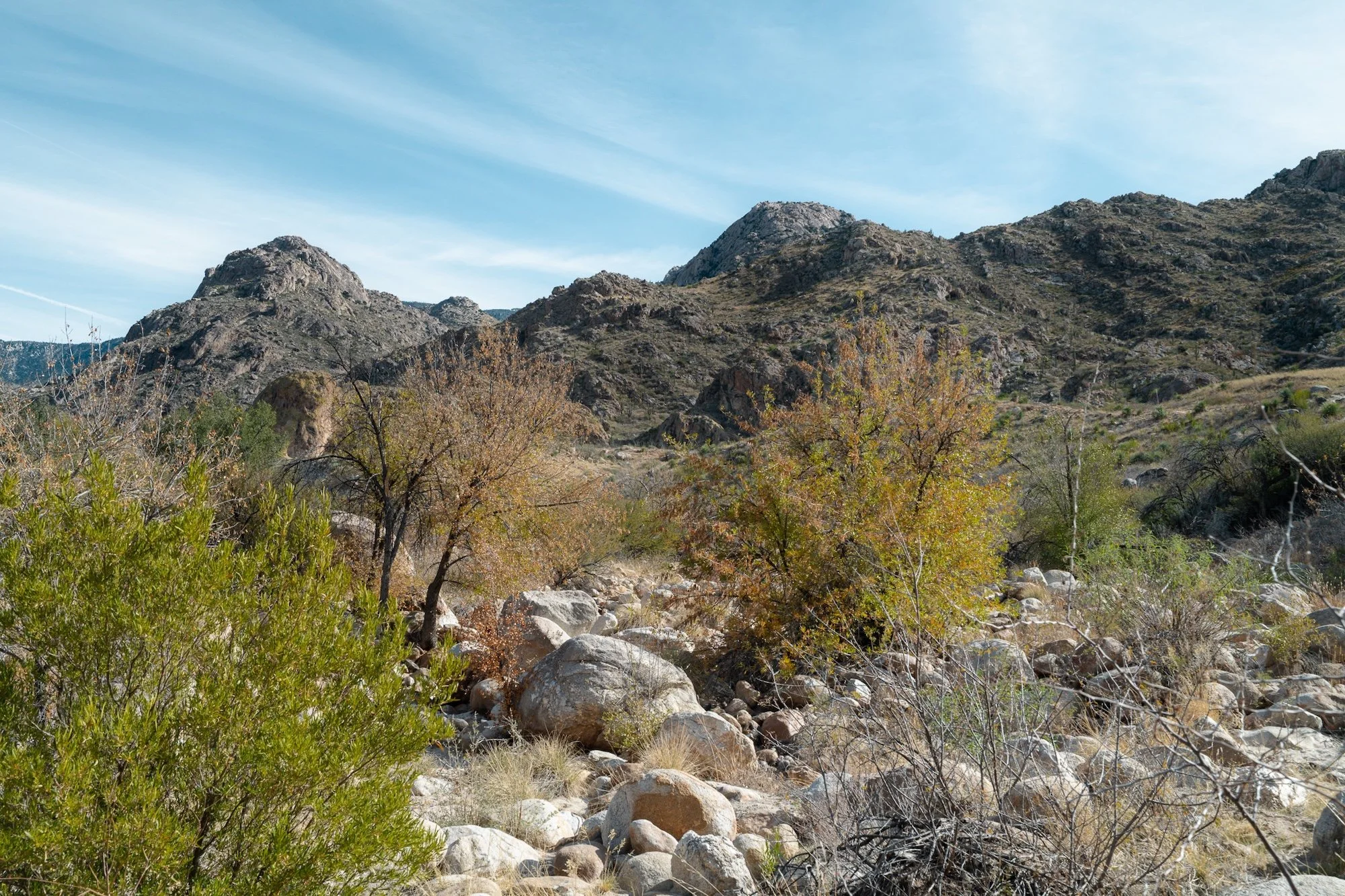 Catalina State Park