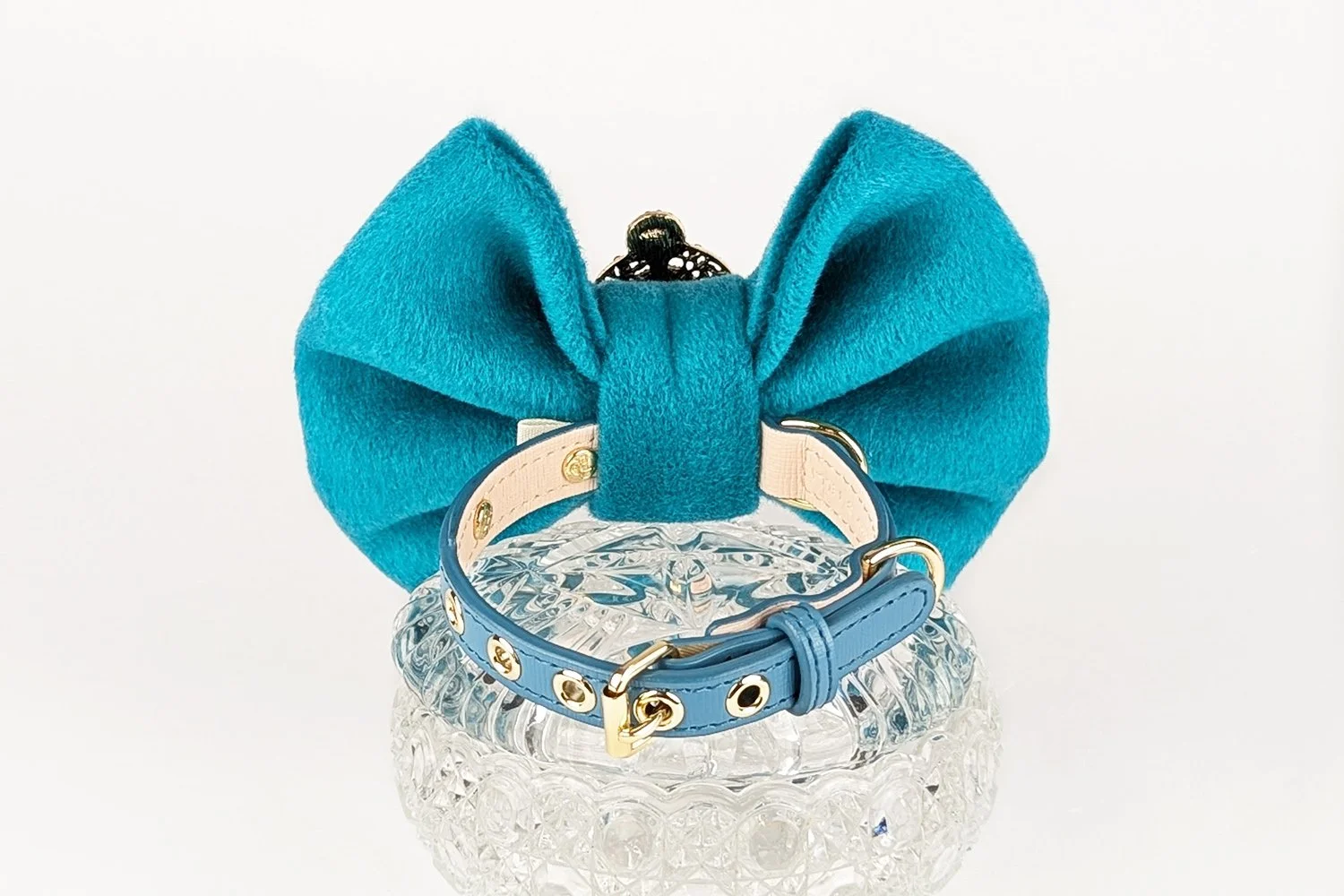 E6-LOOKING-FOR-LOVE-BP-COLLAR.jpg