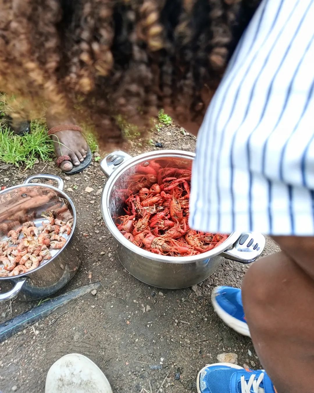 Remember to order for Crayfish at Le Gite Farm House.. 

Crayfish is a fresh water crustaceans closely related to lobster that is found in oceans.
It has just been discovered in one of our lakes in Rubirizi ( L. Nkugute)..

For those who love crayfis