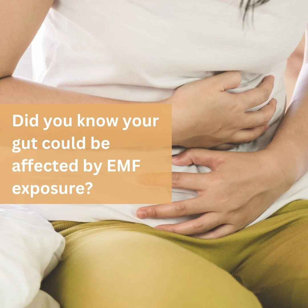 Did you know your gut could be affected by EMF exposure?

A study from Lou et al. (2021) has found that EMF exposure can not only lead to neurobehavioral disorders such as depression, but also cause gut microbiota imbalance.

Why is this important?

