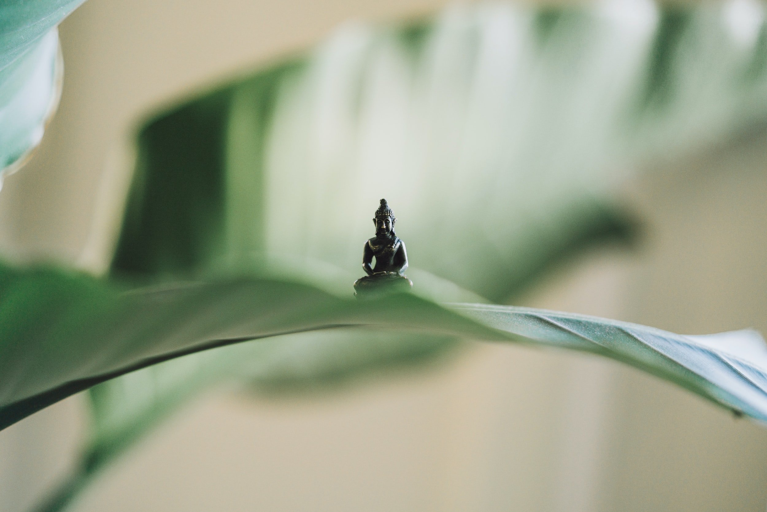 A CONSCIOUS YOU