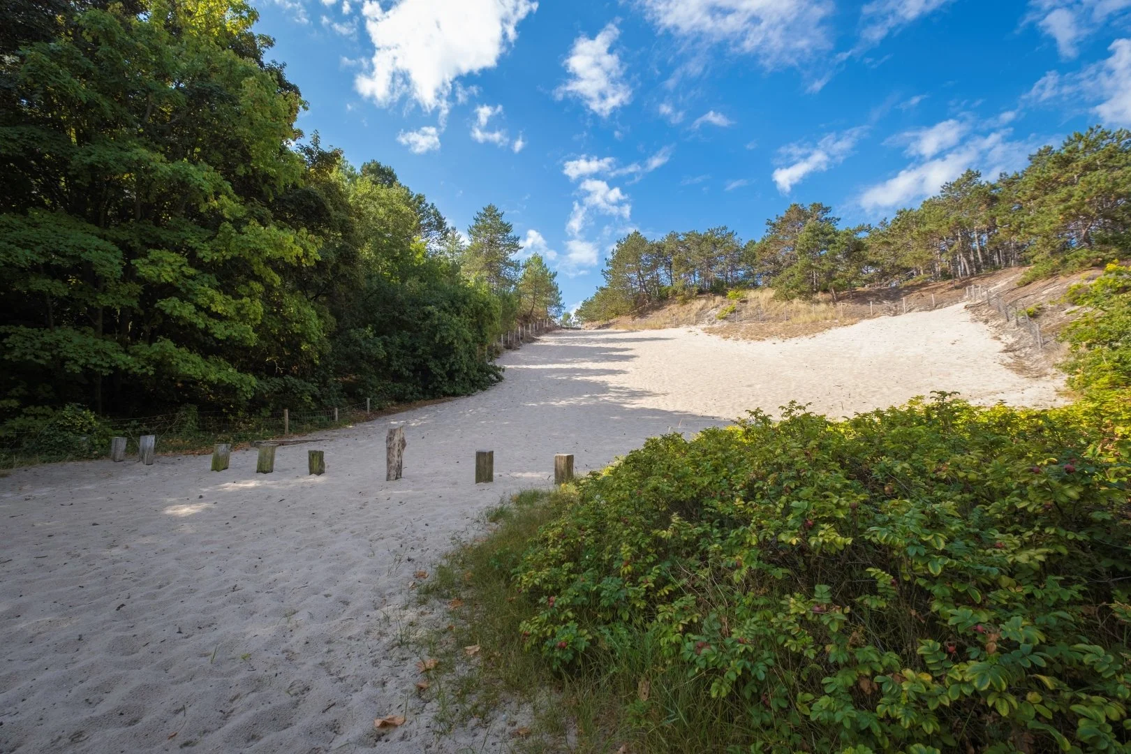 Climbing dune in Groet