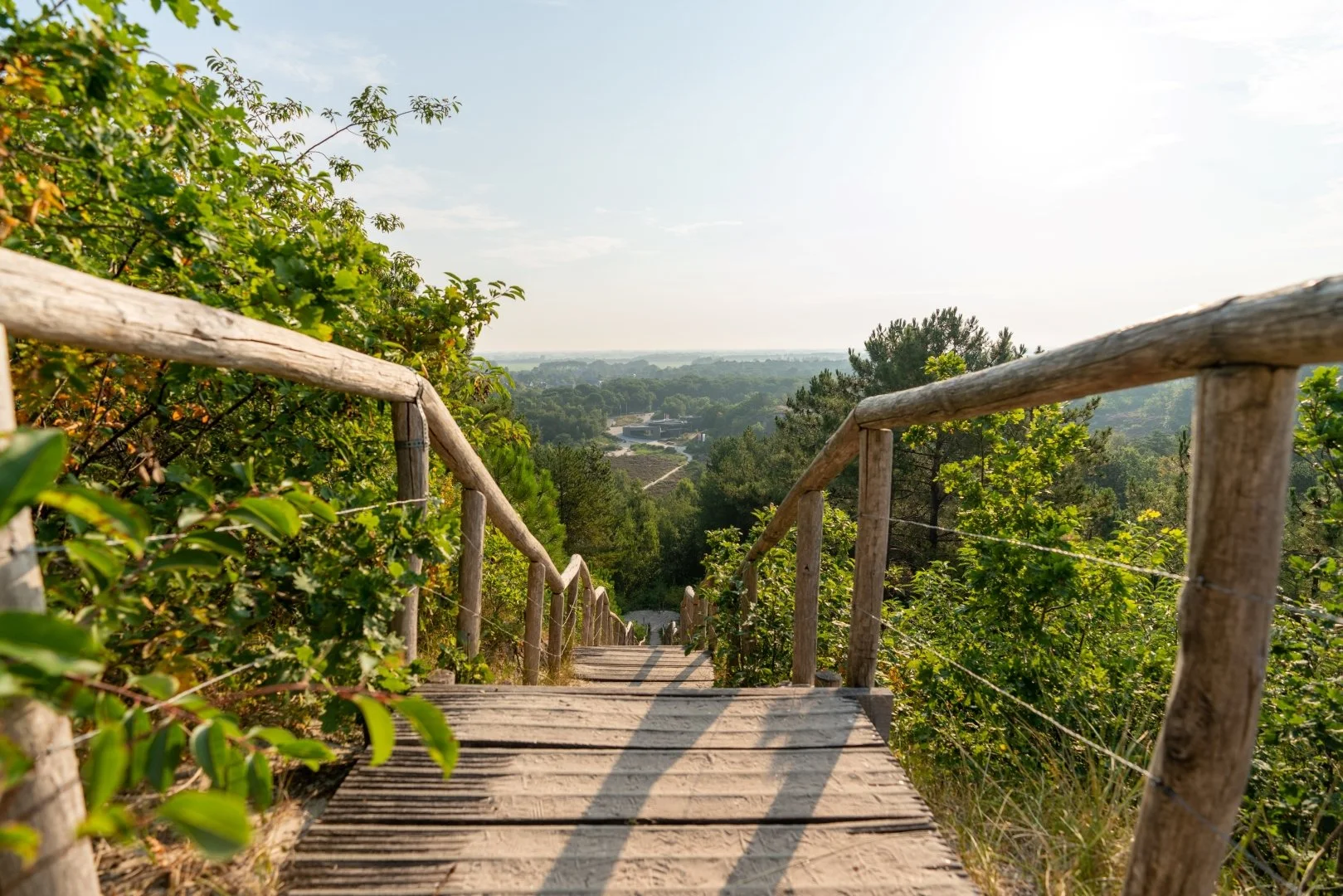 High staircase in Schoorl dunes