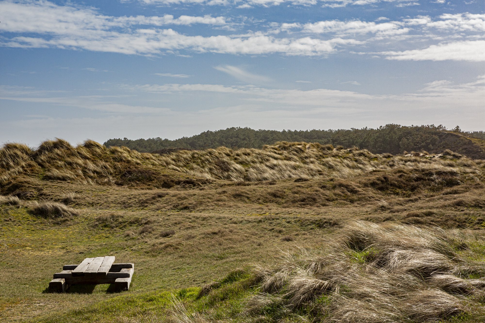 Hôtel de plage-camperduin-appartement-familial-vue-des-dunes-f.jpg