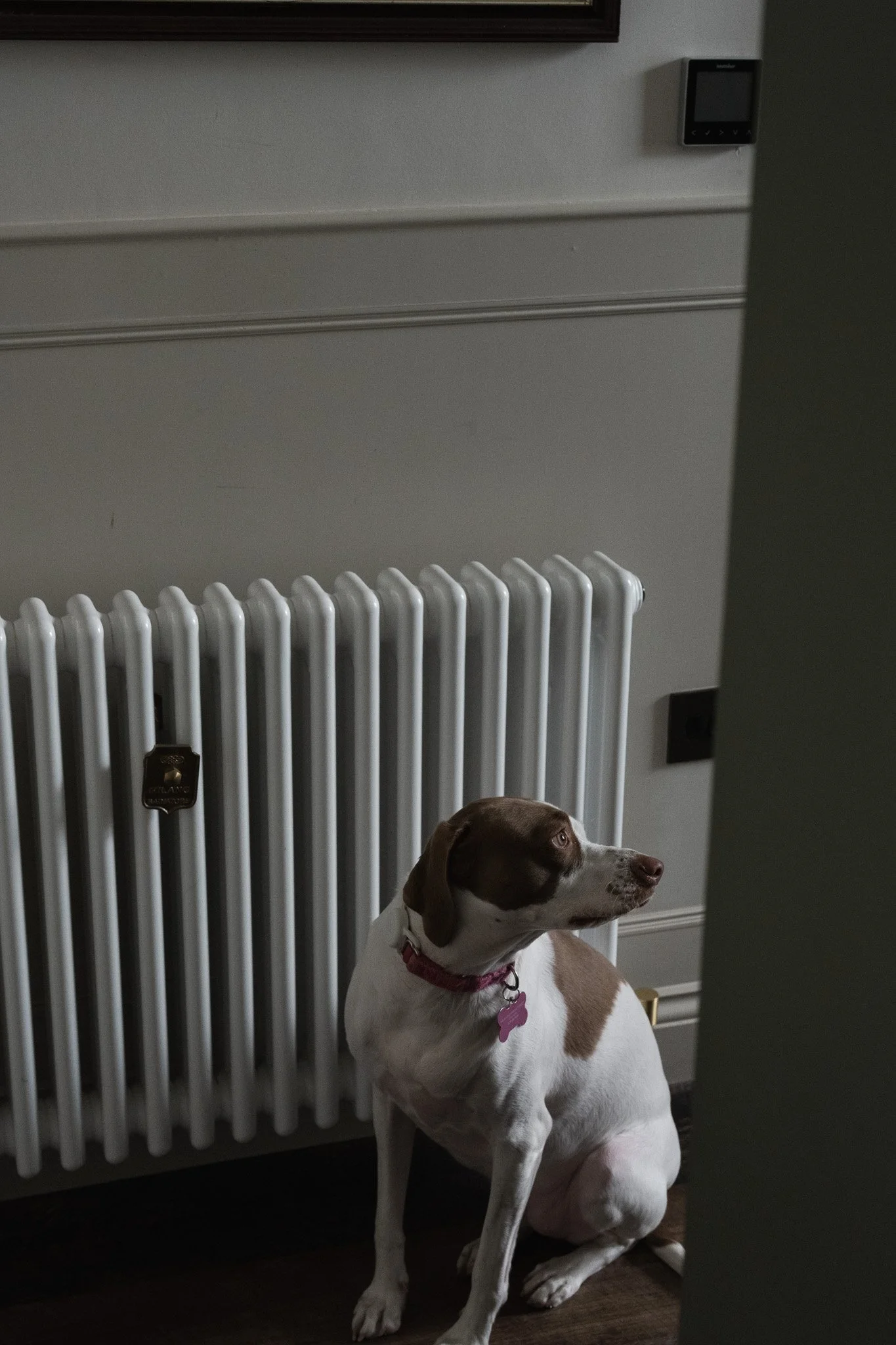 Isla sitting beside a radiator in the bedroom at The Penn after a day exploring Windermere