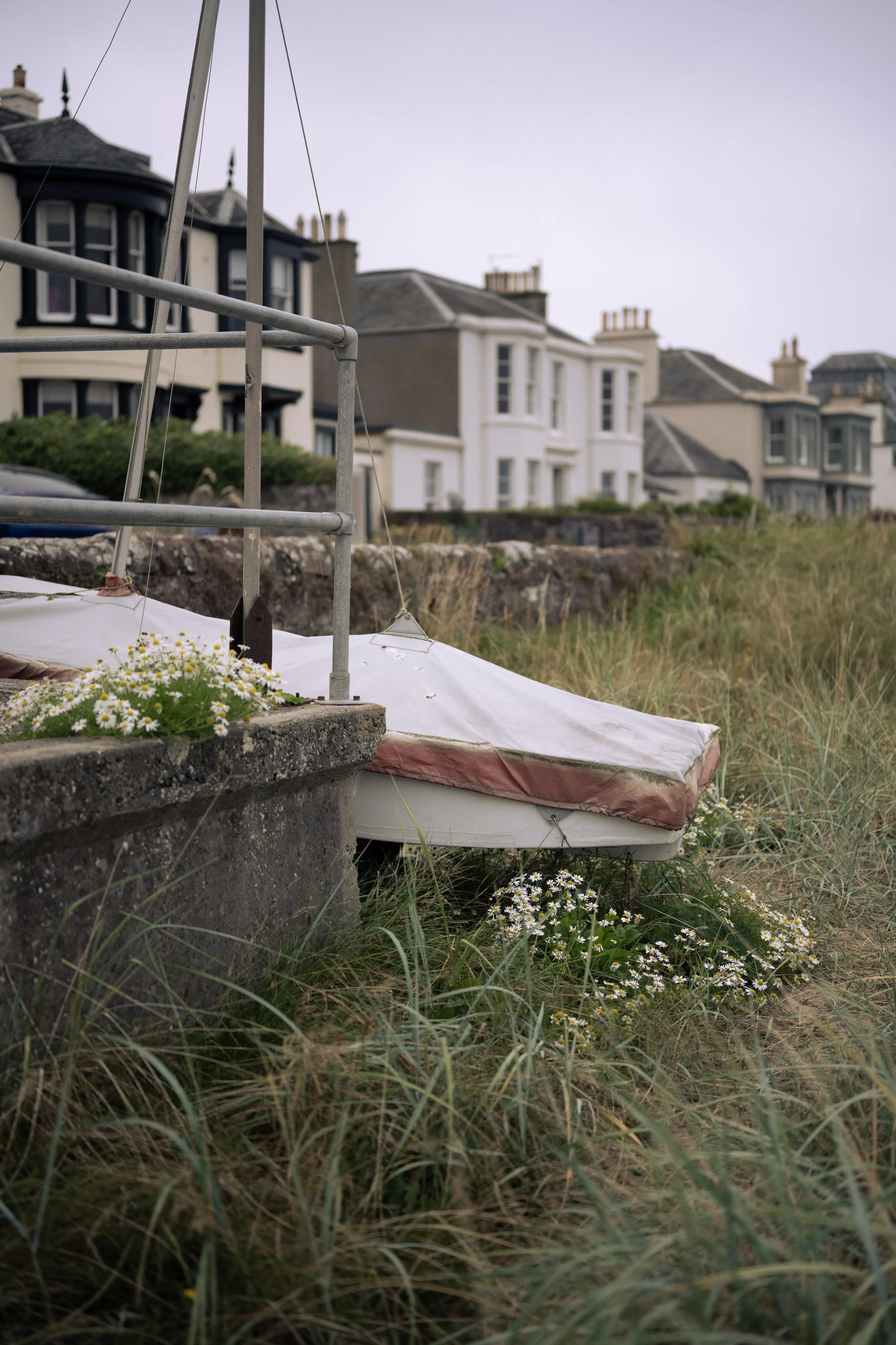 An abandoned boat resting on a grassy area next to a concrete wall, with flowers growing around it, and residential houses in the background under an overcast sky.