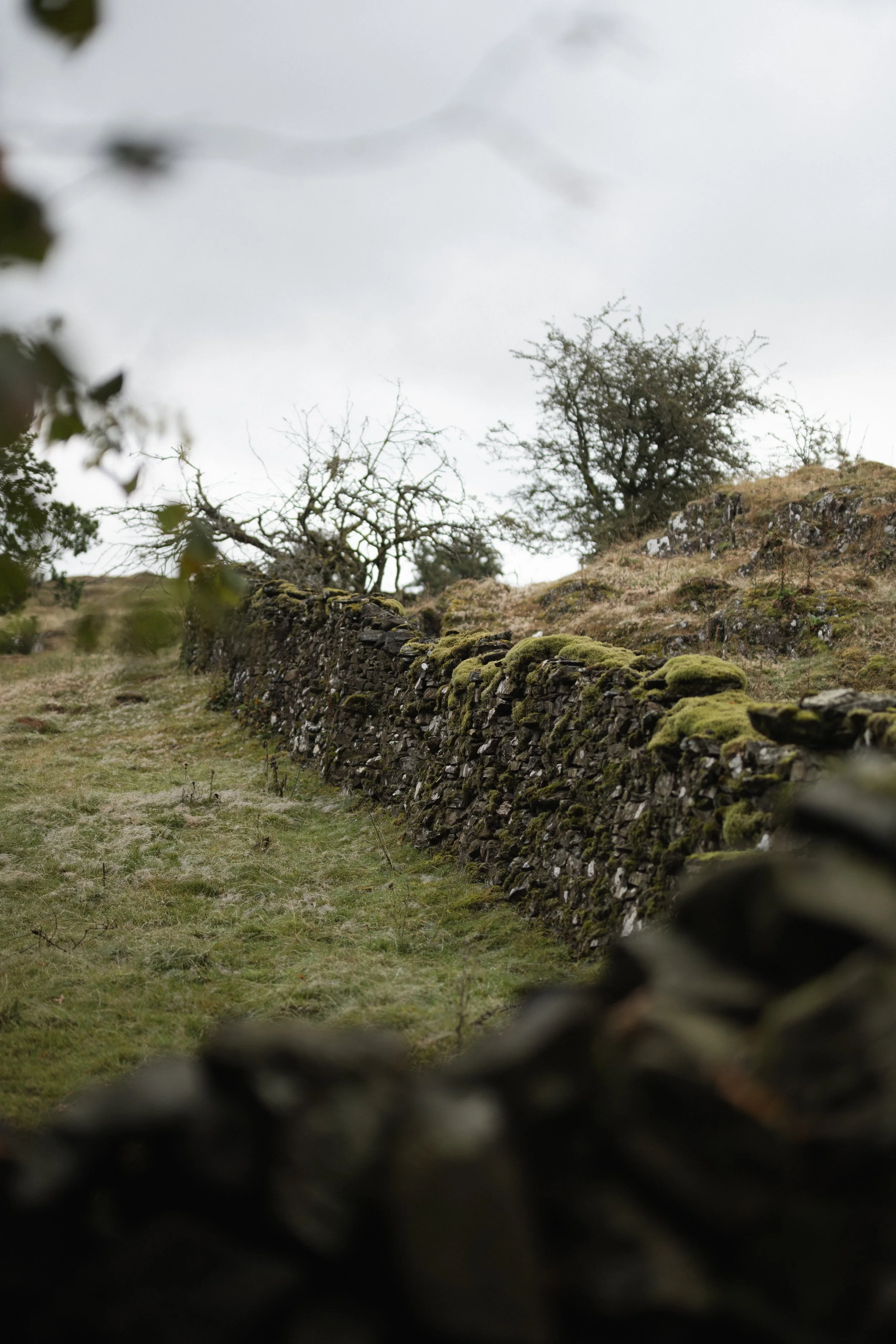 Moss-covered dry-stone wall winding through a quiet rural landscape in the Lake District near Windermere.