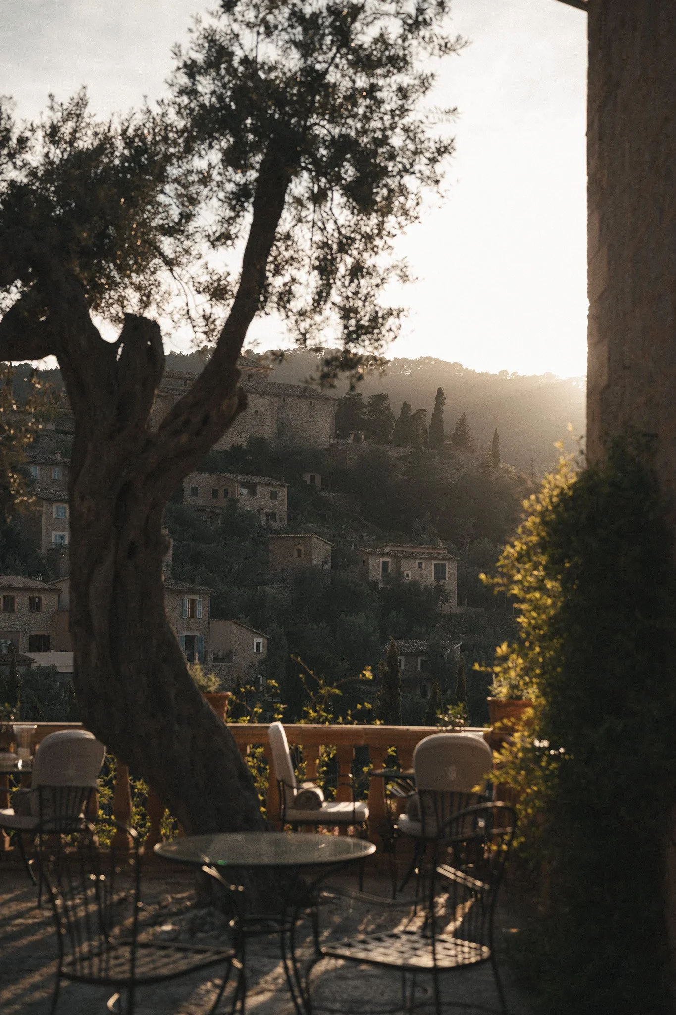 Evening sunlight over an olive tree, terrace and stone houses in the hillside village of Deià, Mallorca.