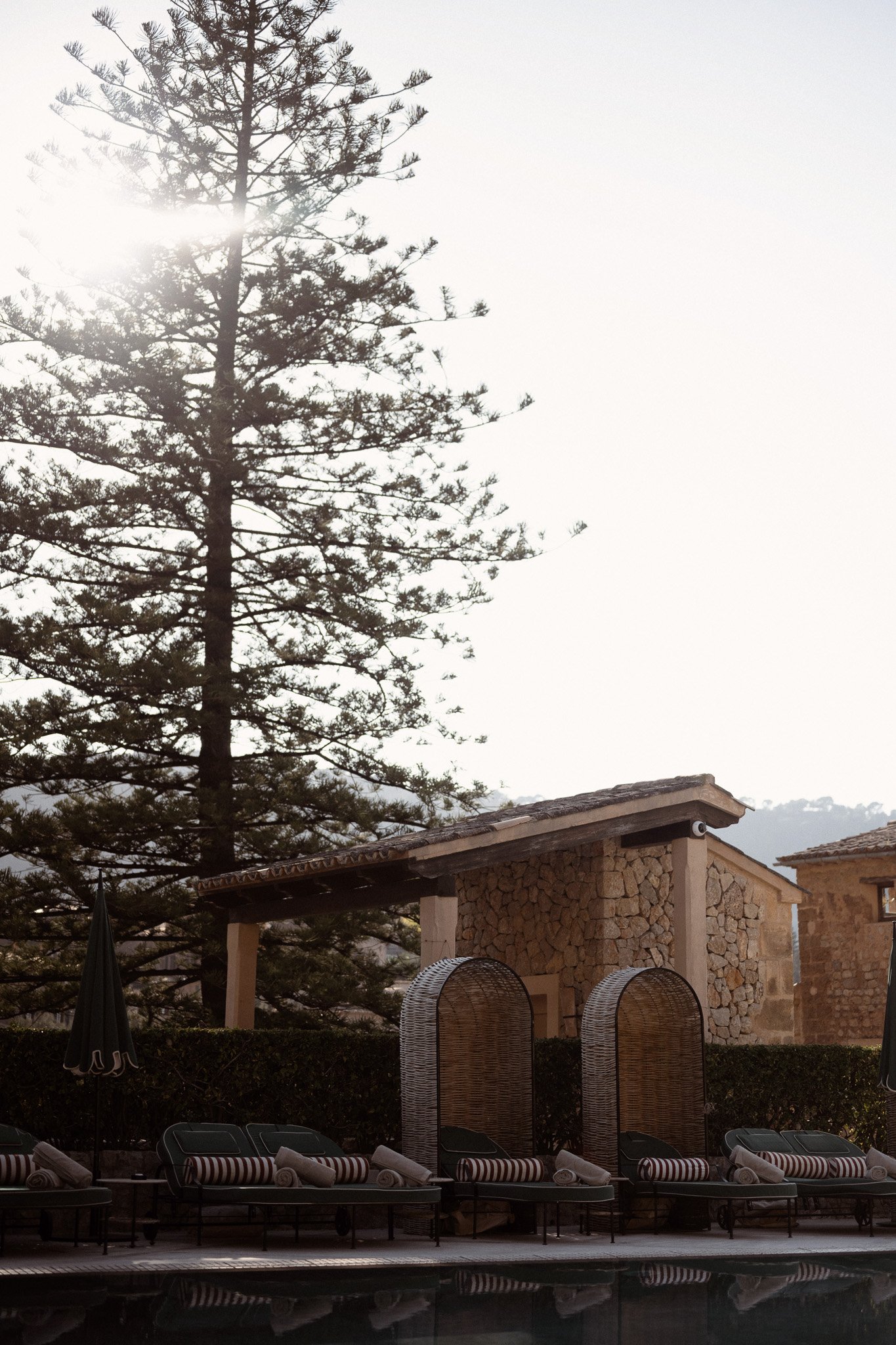 Poolside loungers beneath a tall pine tree and stone architecture at La Residencia in Mallorca.