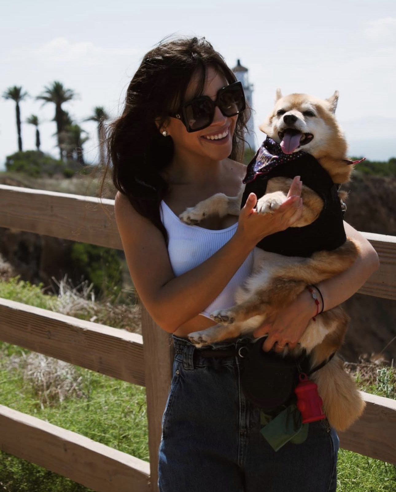 Screenshot 2026-02-10 at 12.13.22 AM.png