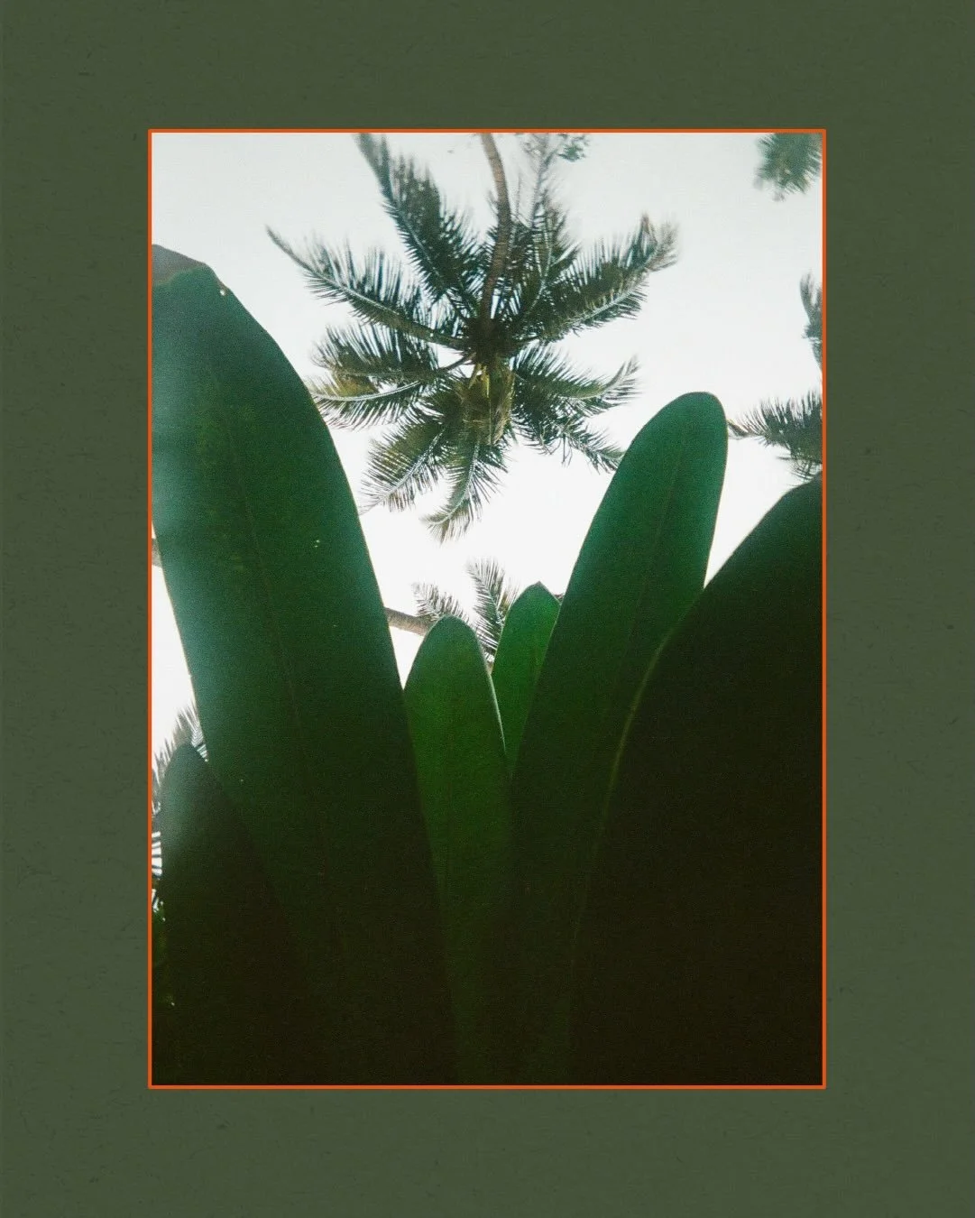 Postcards from Sri Lanka.

I took two rolls of film with me but suffered a broken camera half way through our trip. I&rsquo;m so happy a handful of images still came out. The trip of a lifetime with my old man (and Dan 😅)