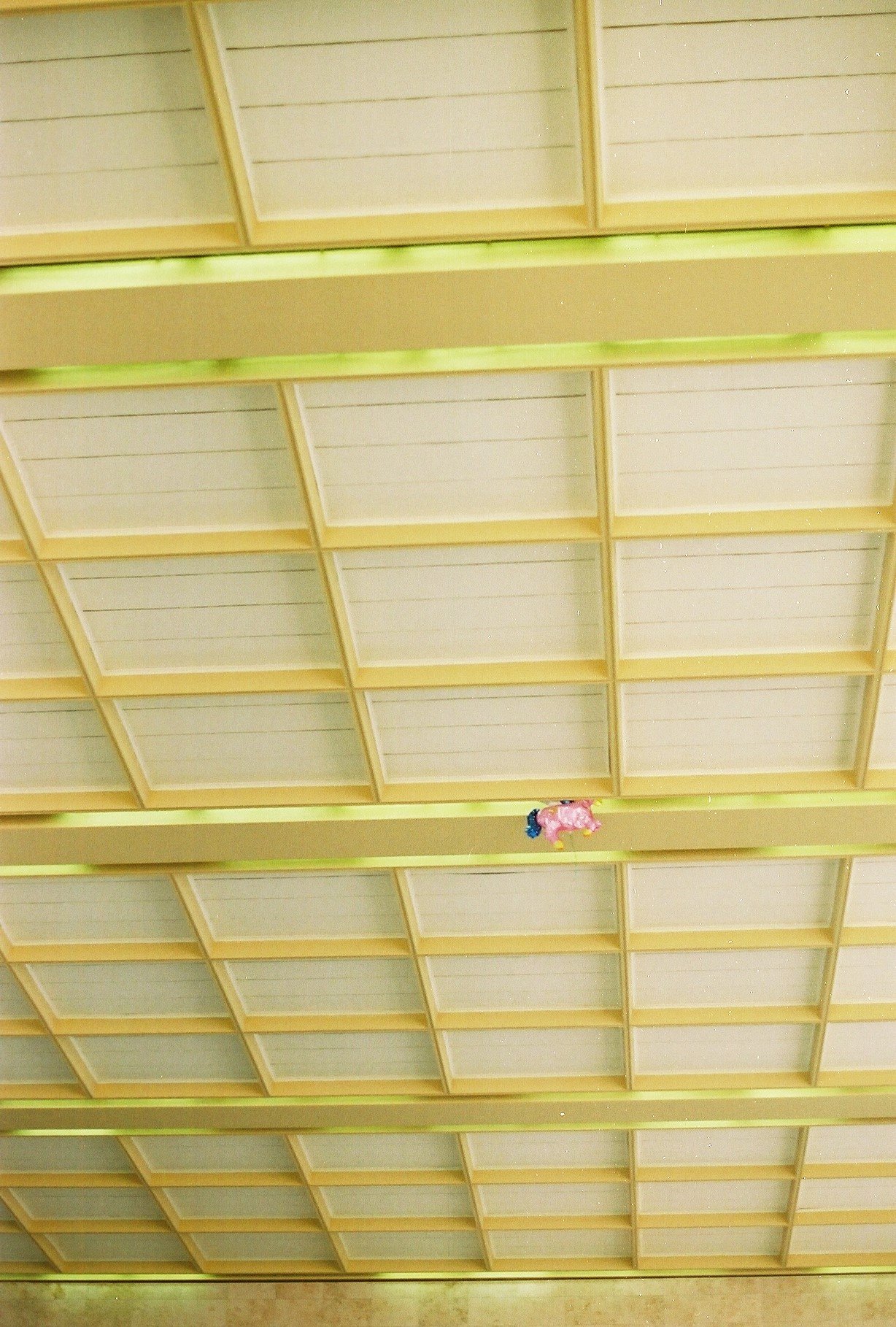 Lost Balloon 2015 
Analog C Print