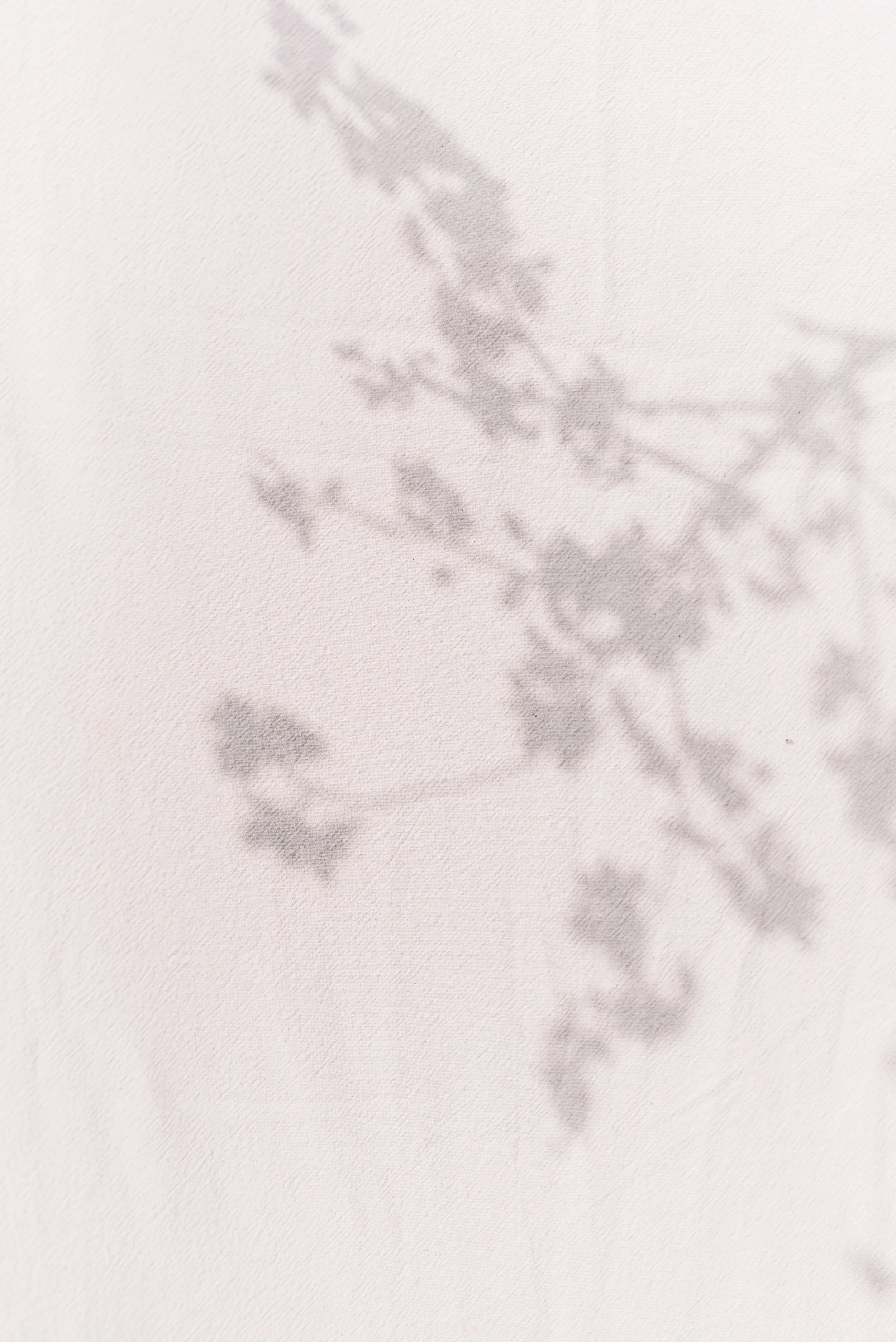 A shadow over a wall