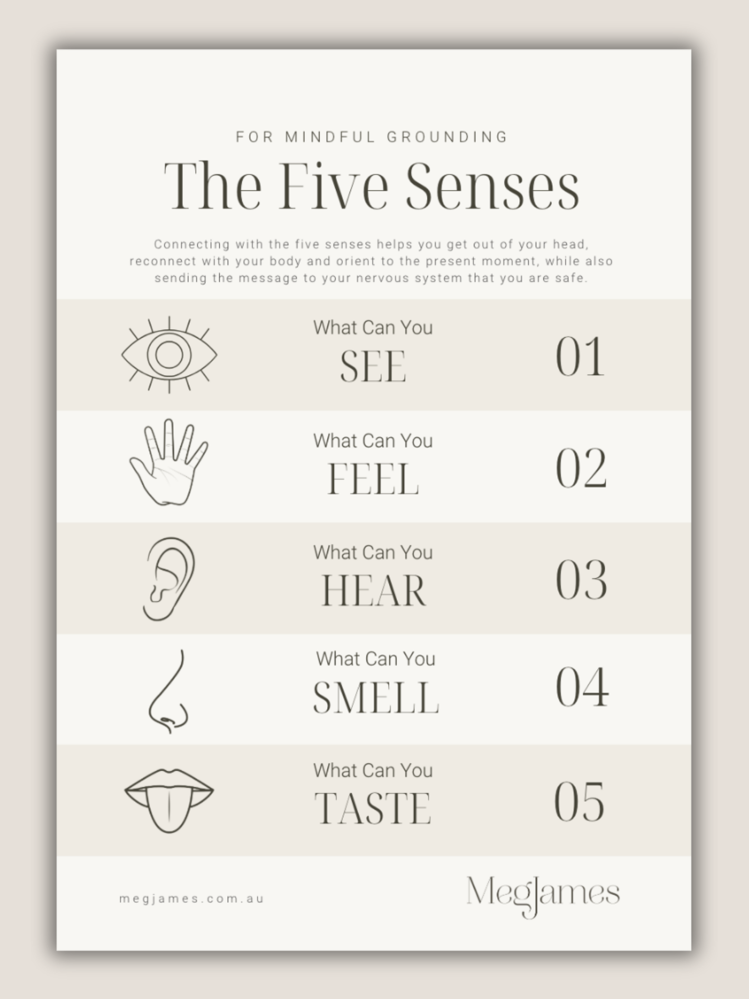 An informational graphic titled 'The Five Senses' listing the senses: see, feel, hear, smell, taste, with icons representing each sense.