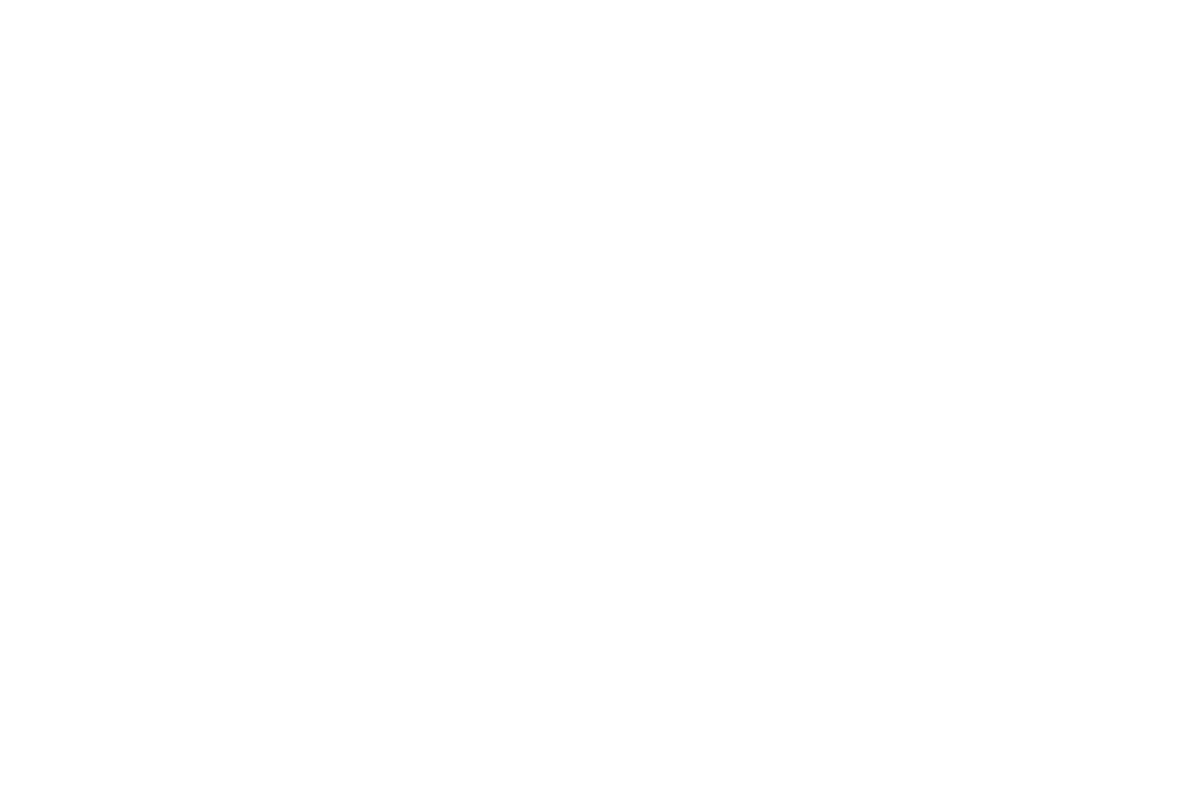 Best_Director_-_8__HalFilm_Awards.png