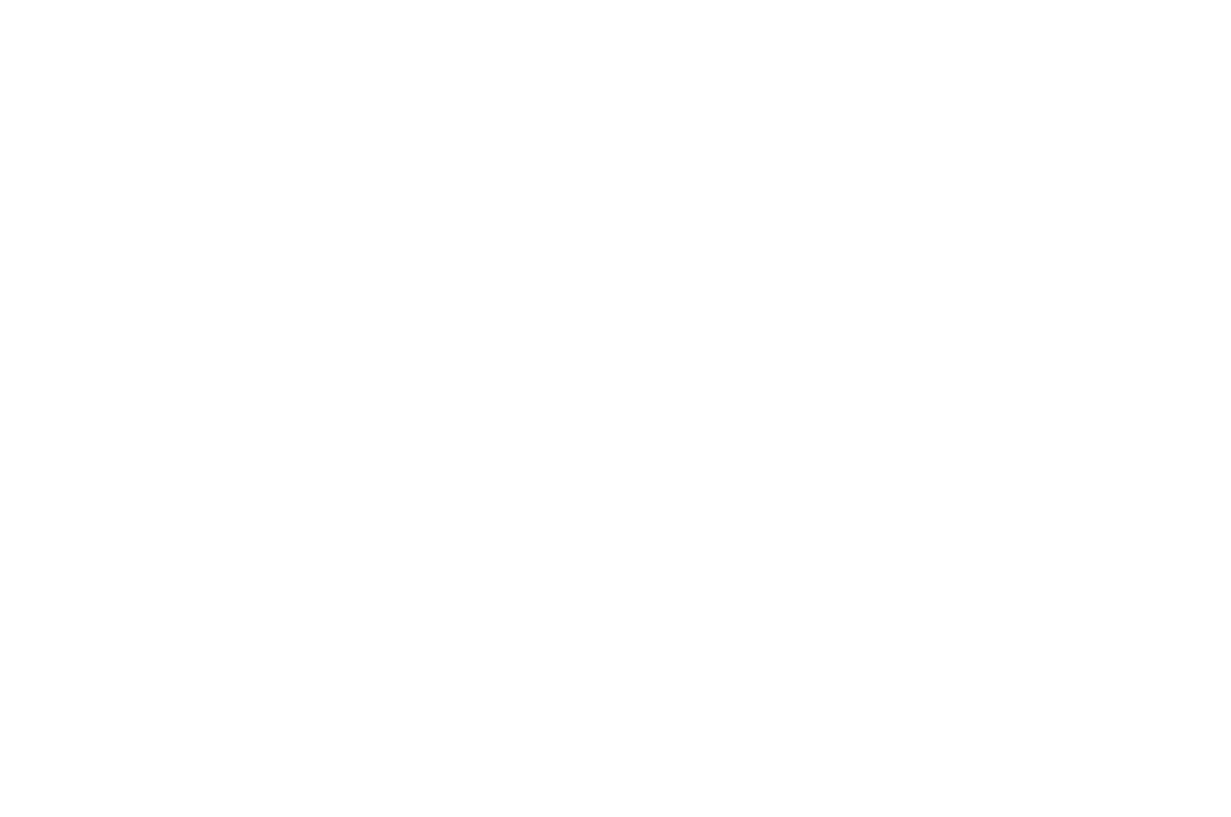 Best_Director_-_STANLEY_FILM_AWARDS.png