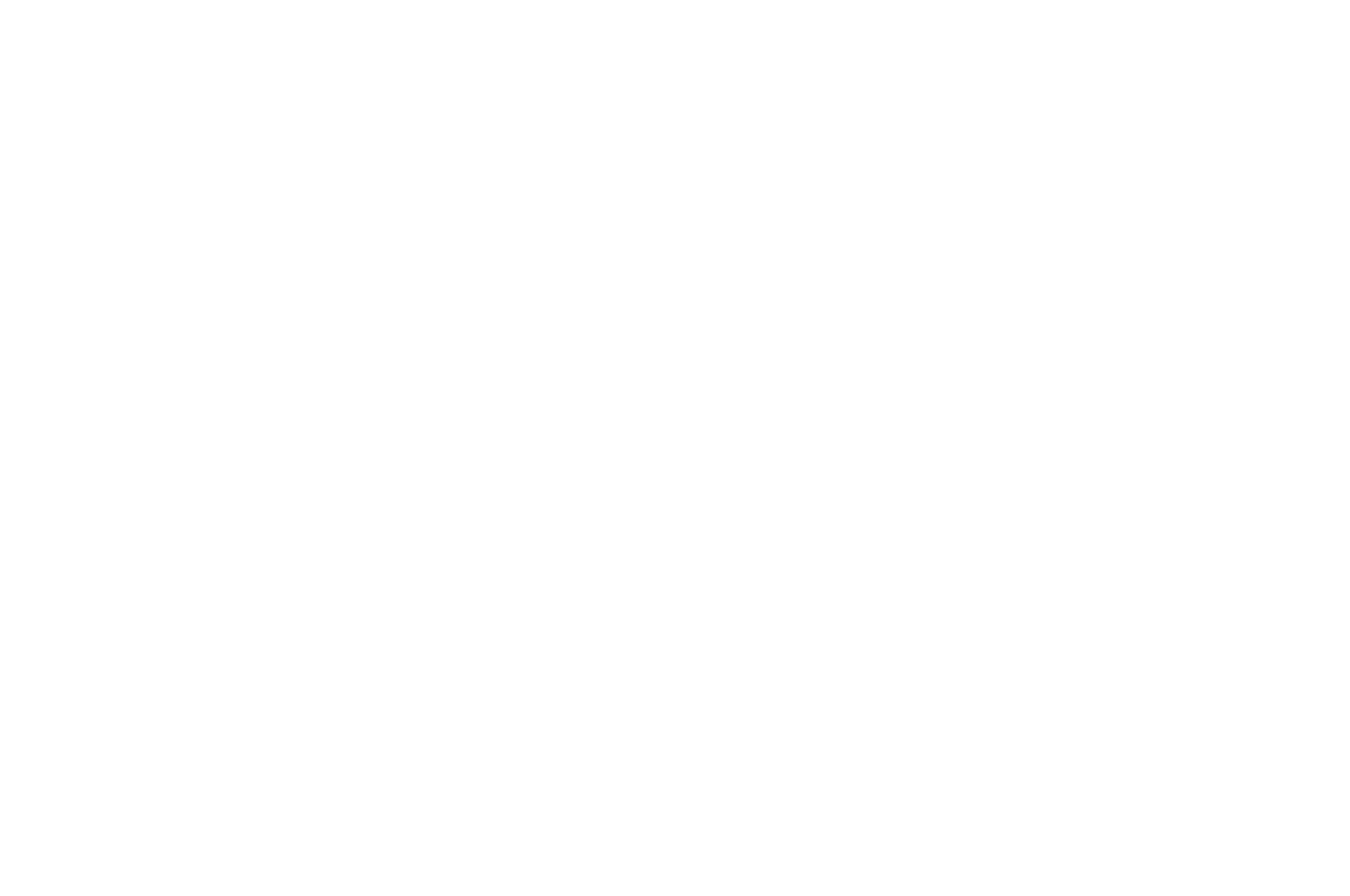 Best_Picture_-_STANLEY_FILM_AWARDS.png