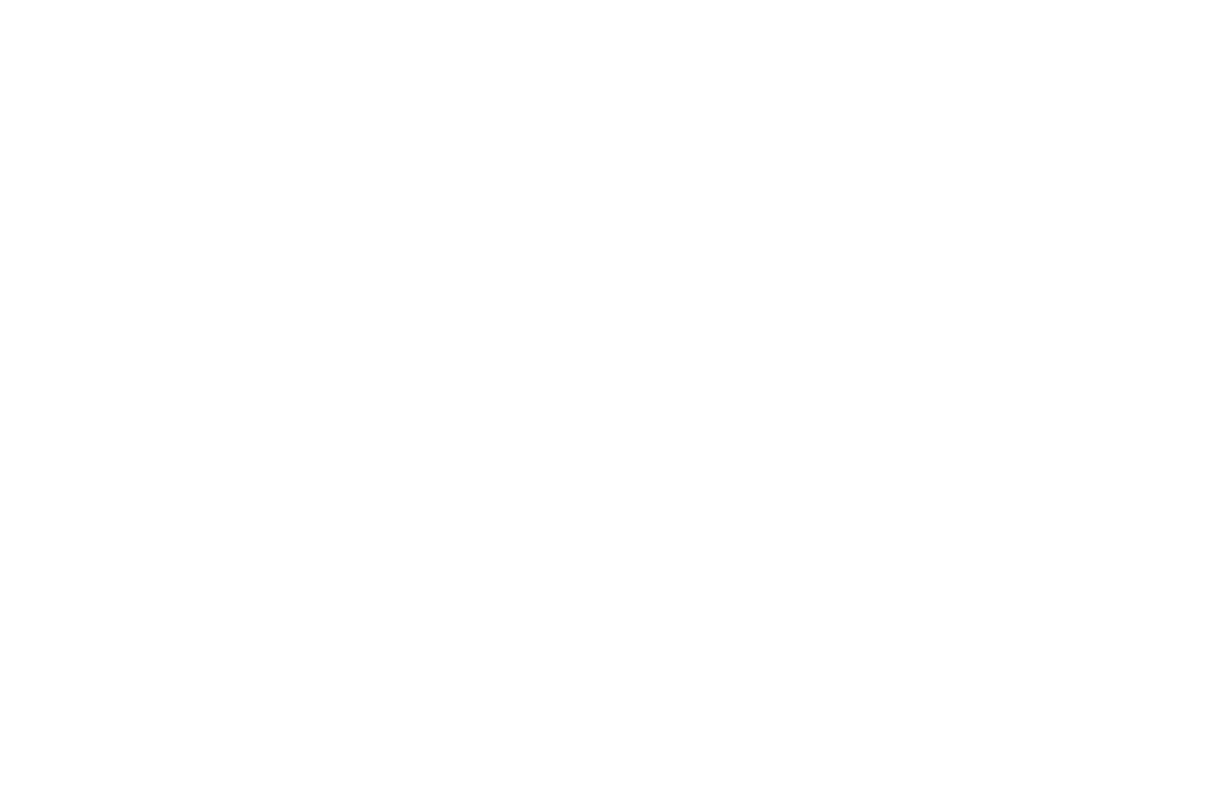 Rosarito International Film Festival - 2021.png