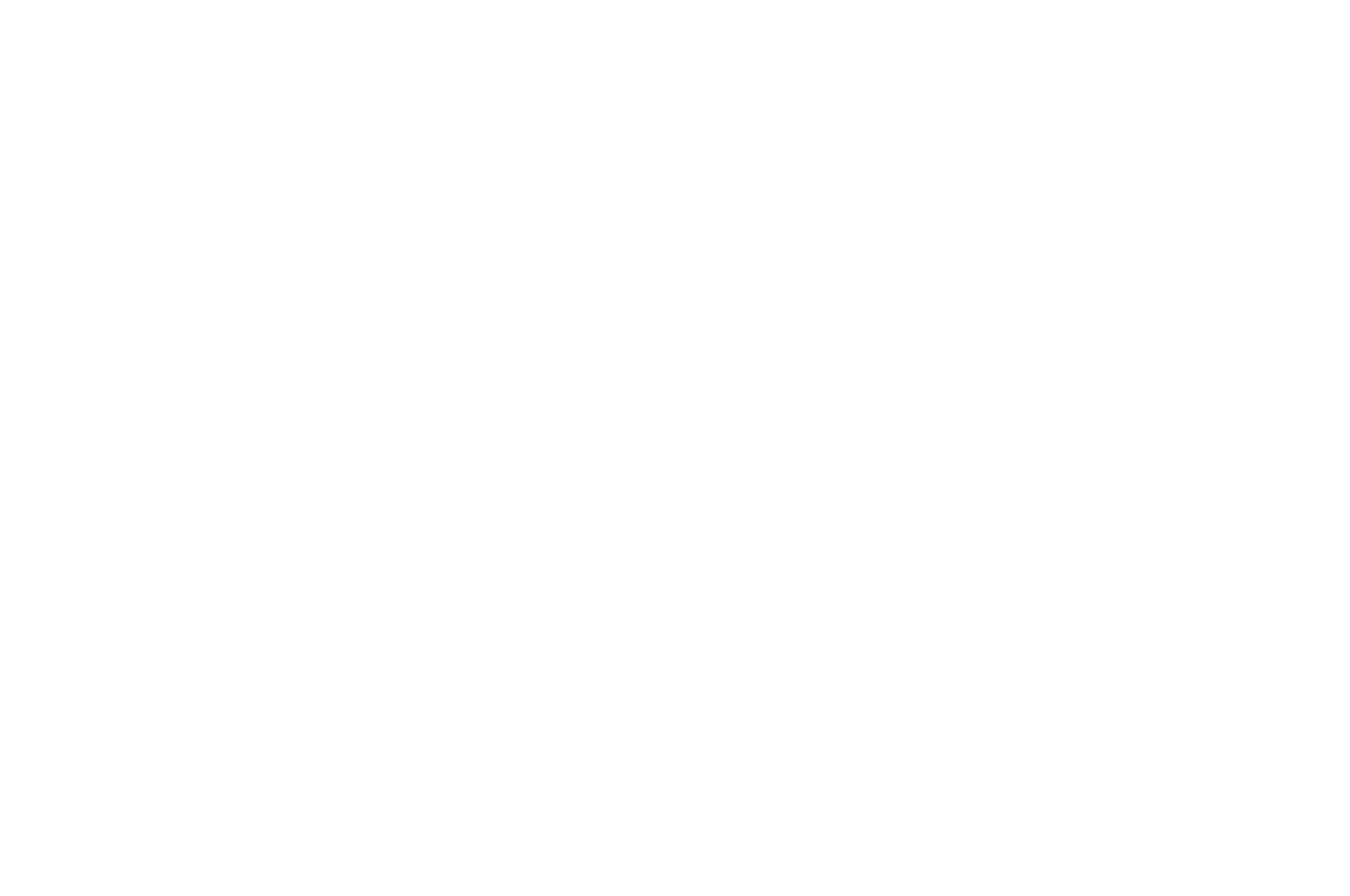 Santa Monica Shorts - 2021.png