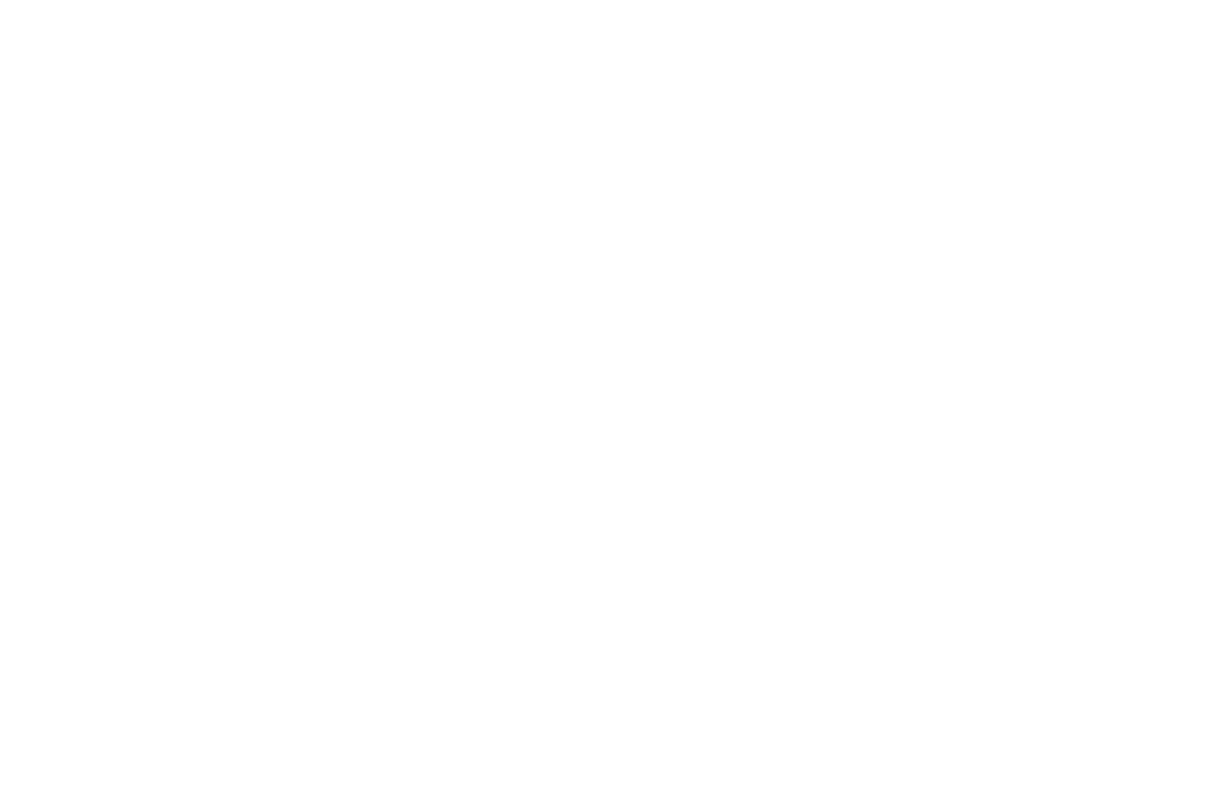 OFFICIAL SELECTION - California International Shorts Festival Winter - 2019.png
