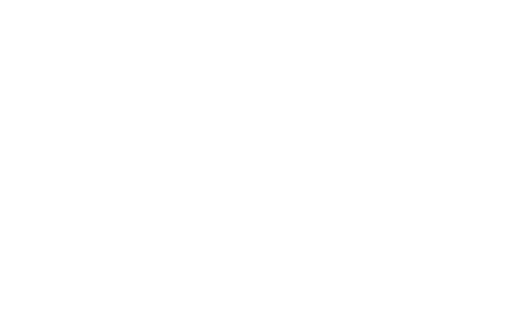 OFFICIAL SELECTION - NEW YORK STATE INTERNATIONAL FILM FESTIVAL - 2020.png