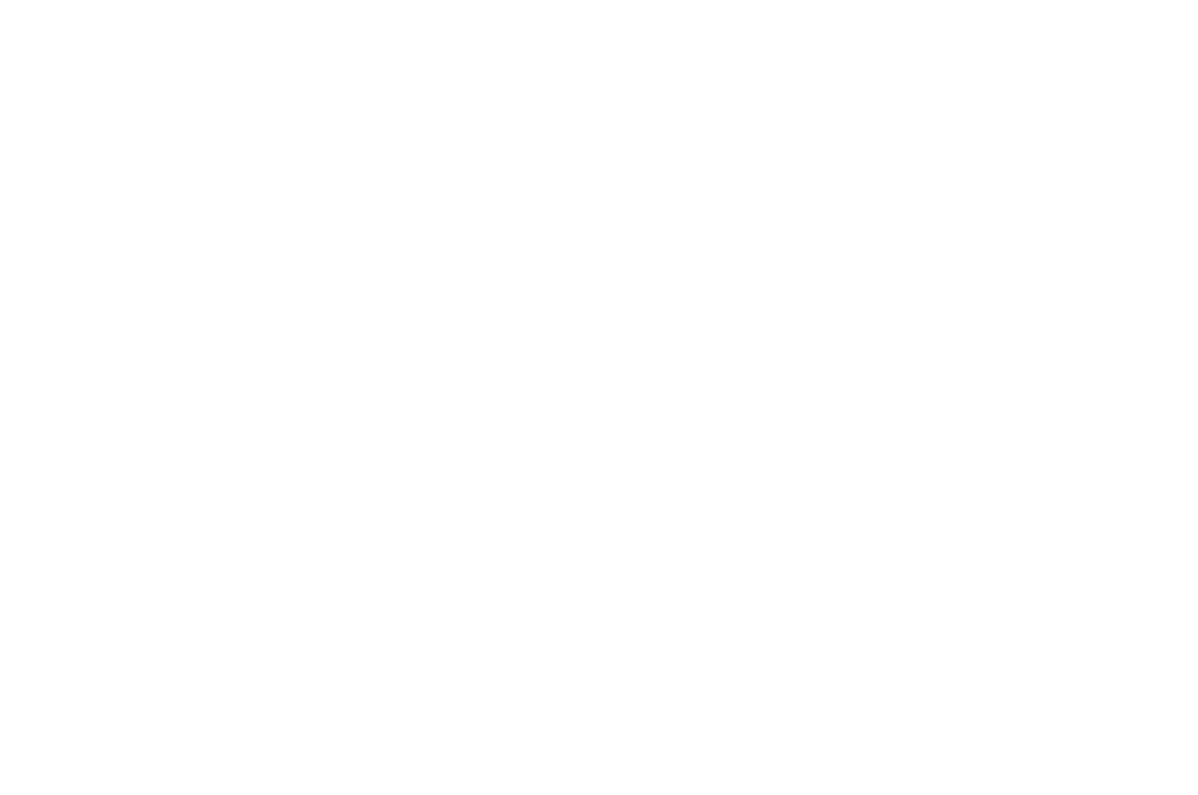 OFFICIAL SELECTION - Northwest of NYC Film Festival - 2020.png