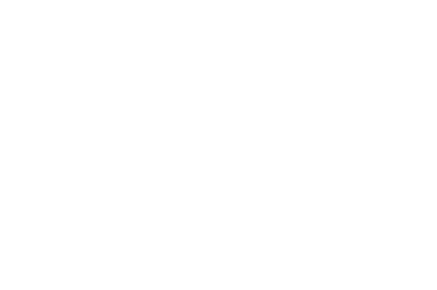 OFFICIAL SELECTION - Santiago Independent Film Awards - 2020.png