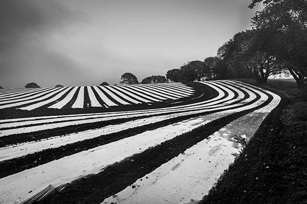 isle-of-wight-landscape-stripe3.jpg