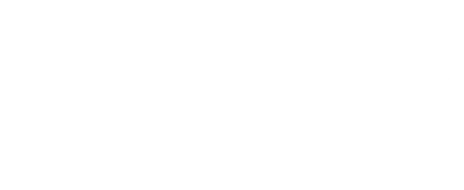 Toni Alex Media