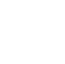 DSP Group