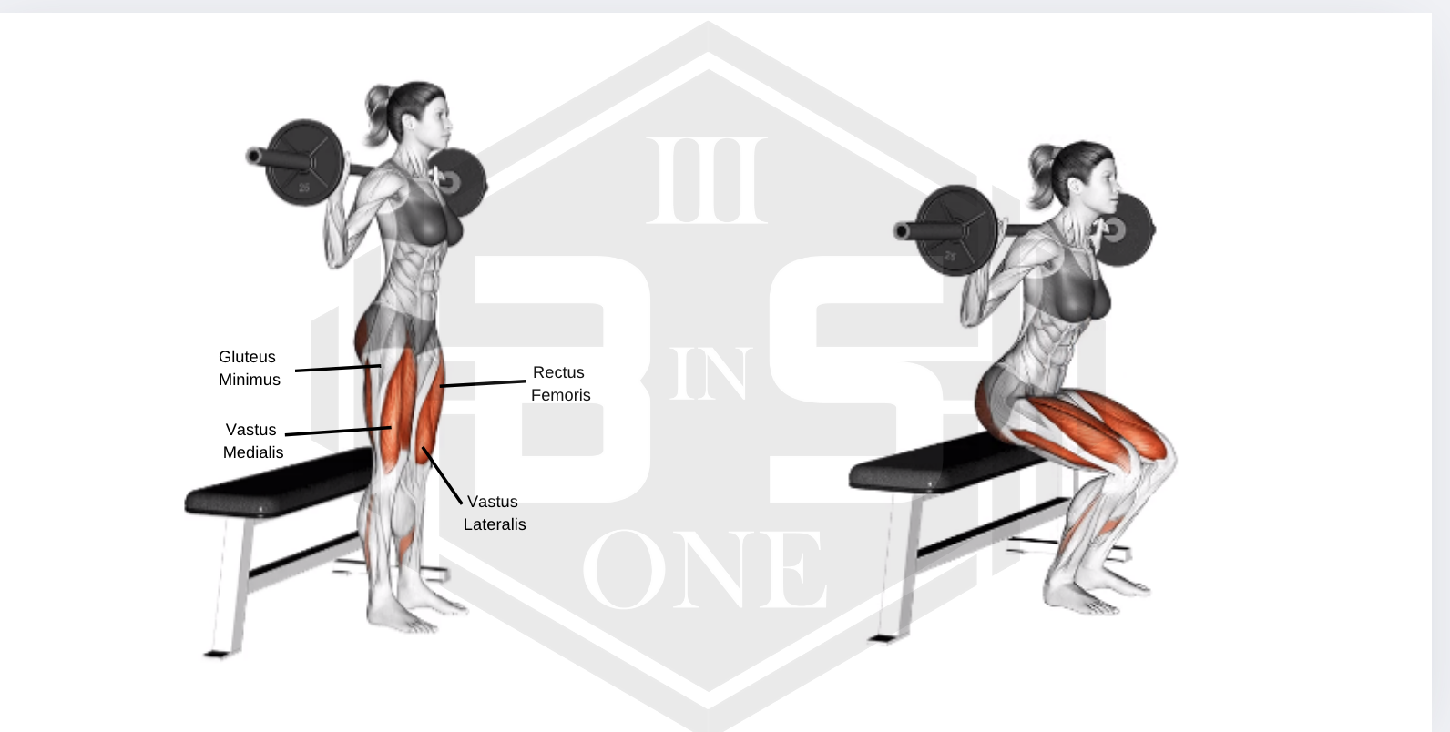 Skivstång box squats