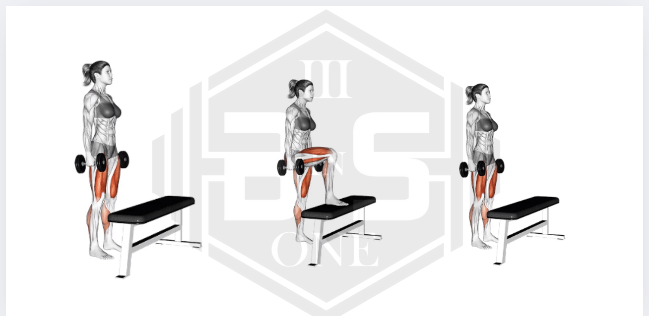 Hantel step-ups