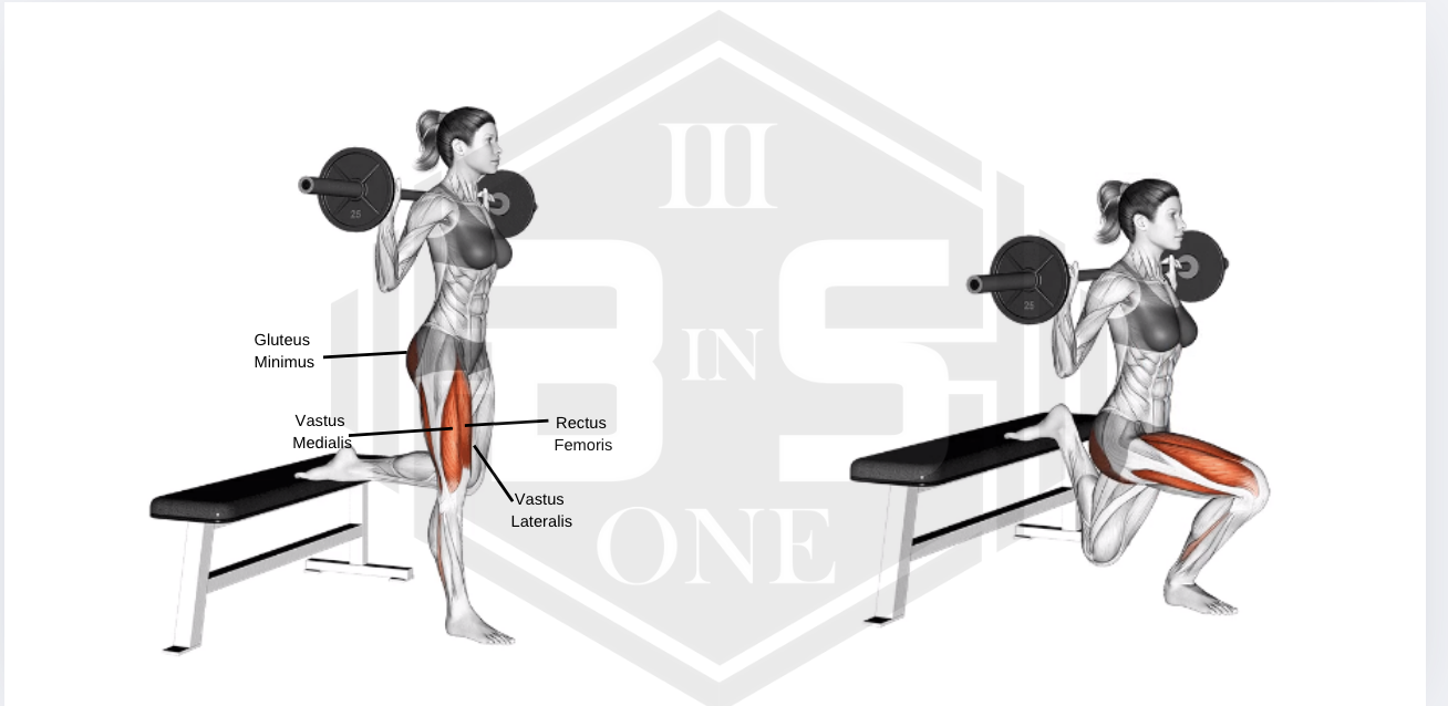Splitsquat med skivstång