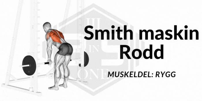 Skivstång rodd med smith maskin — BodySelection
