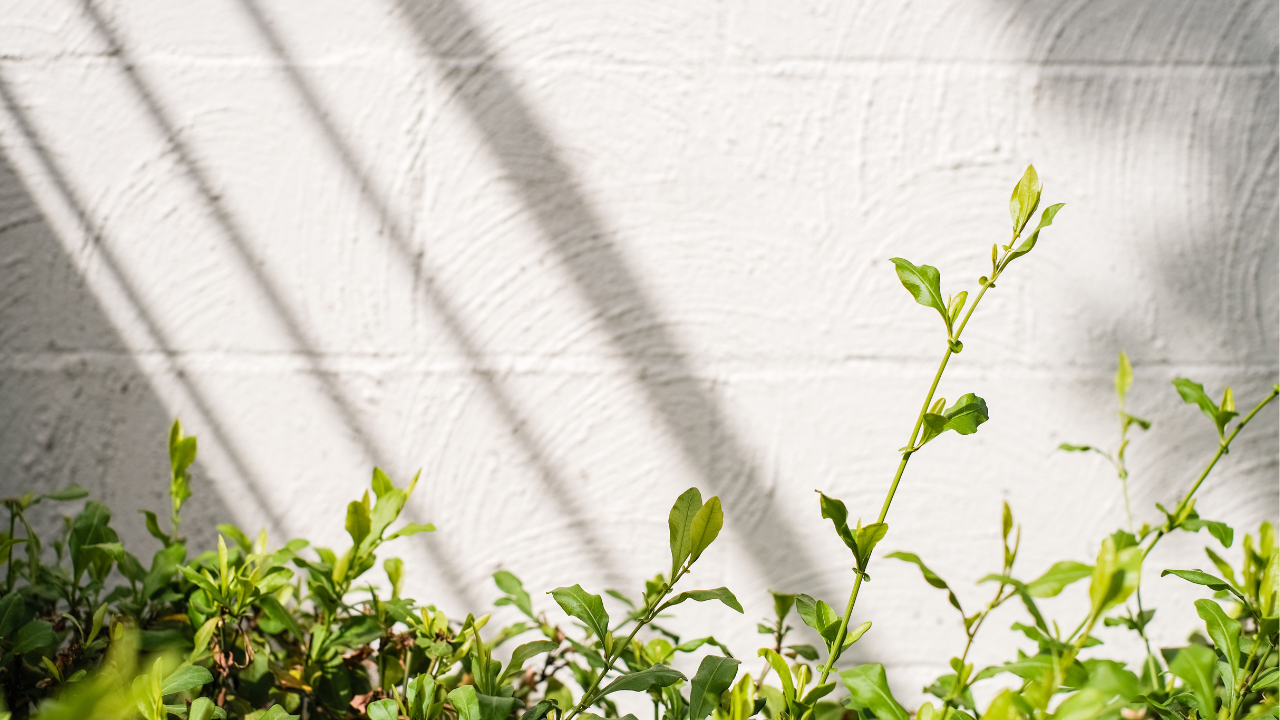 Instagram marketing tips: How to grow your following
