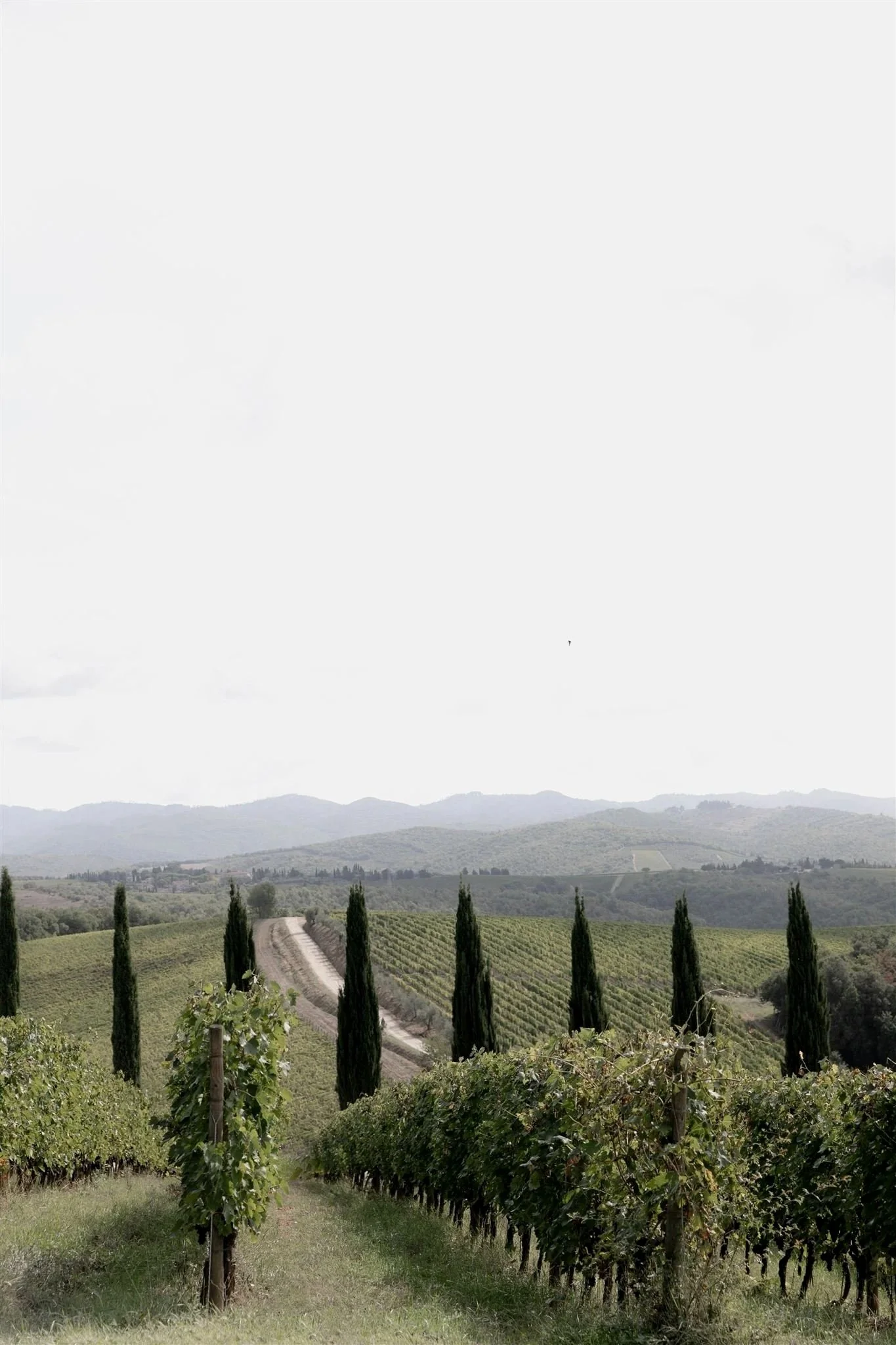 A wedding day at Dievole Wine Resort in the Chianti region of Tuscany, Italy.