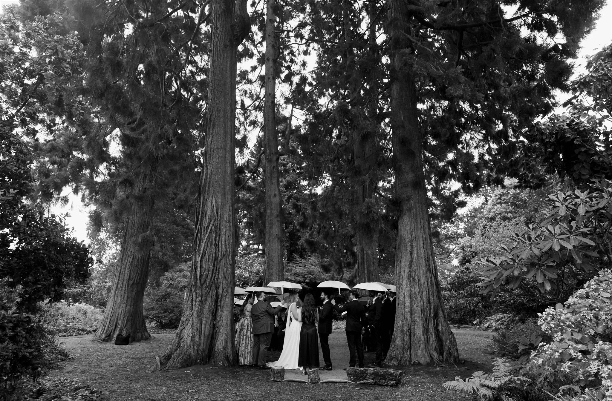 A wedding day at The Royal Botanic Garden Edinburgh in Edinburgh, Scotland.