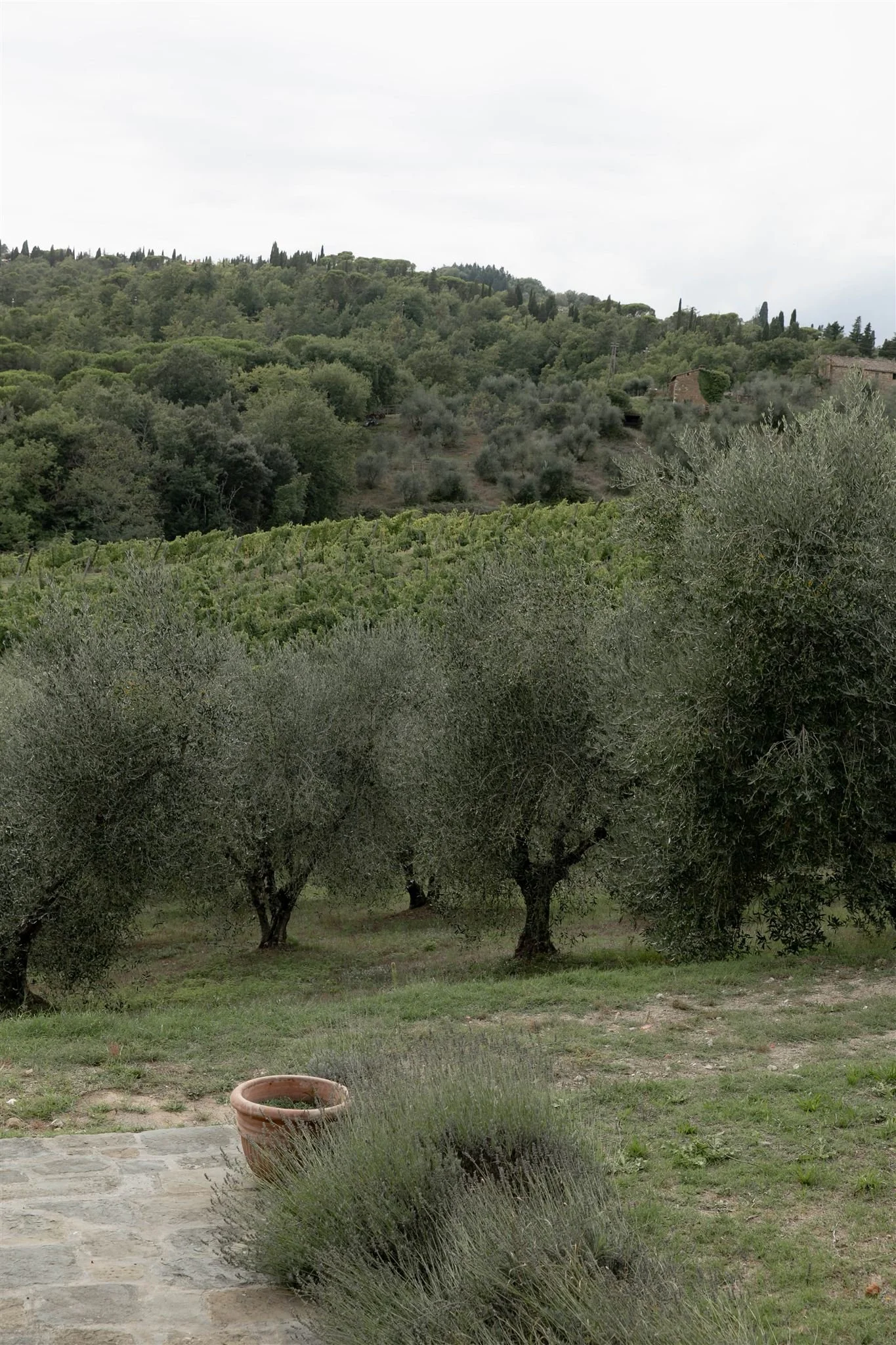 A wedding day at Dievole Wine Resort in the Chianti region of Tuscany, Italy.