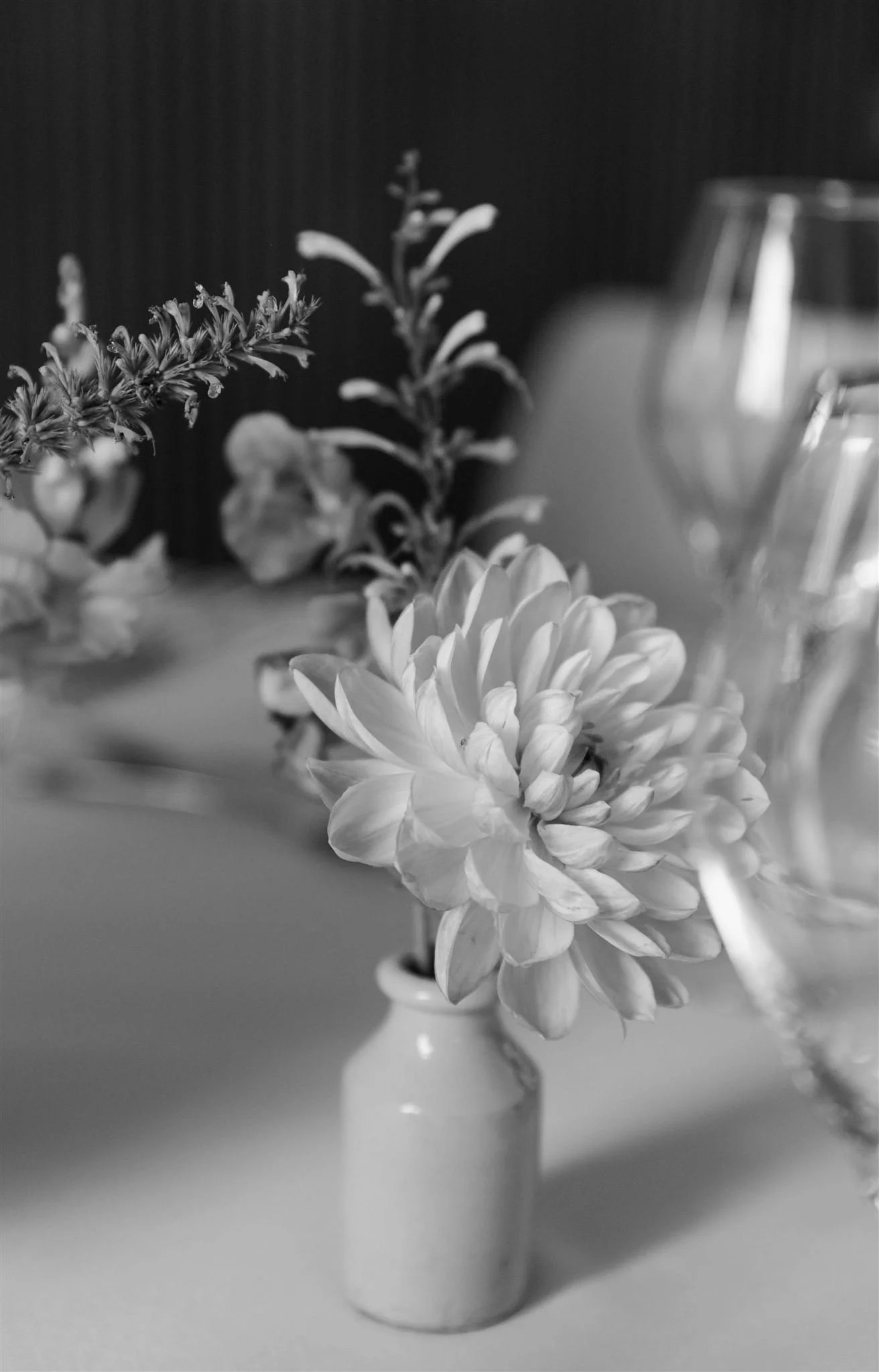 A wedding day at The Royal Botanic Garden Edinburgh in Edinburgh, Scotland.