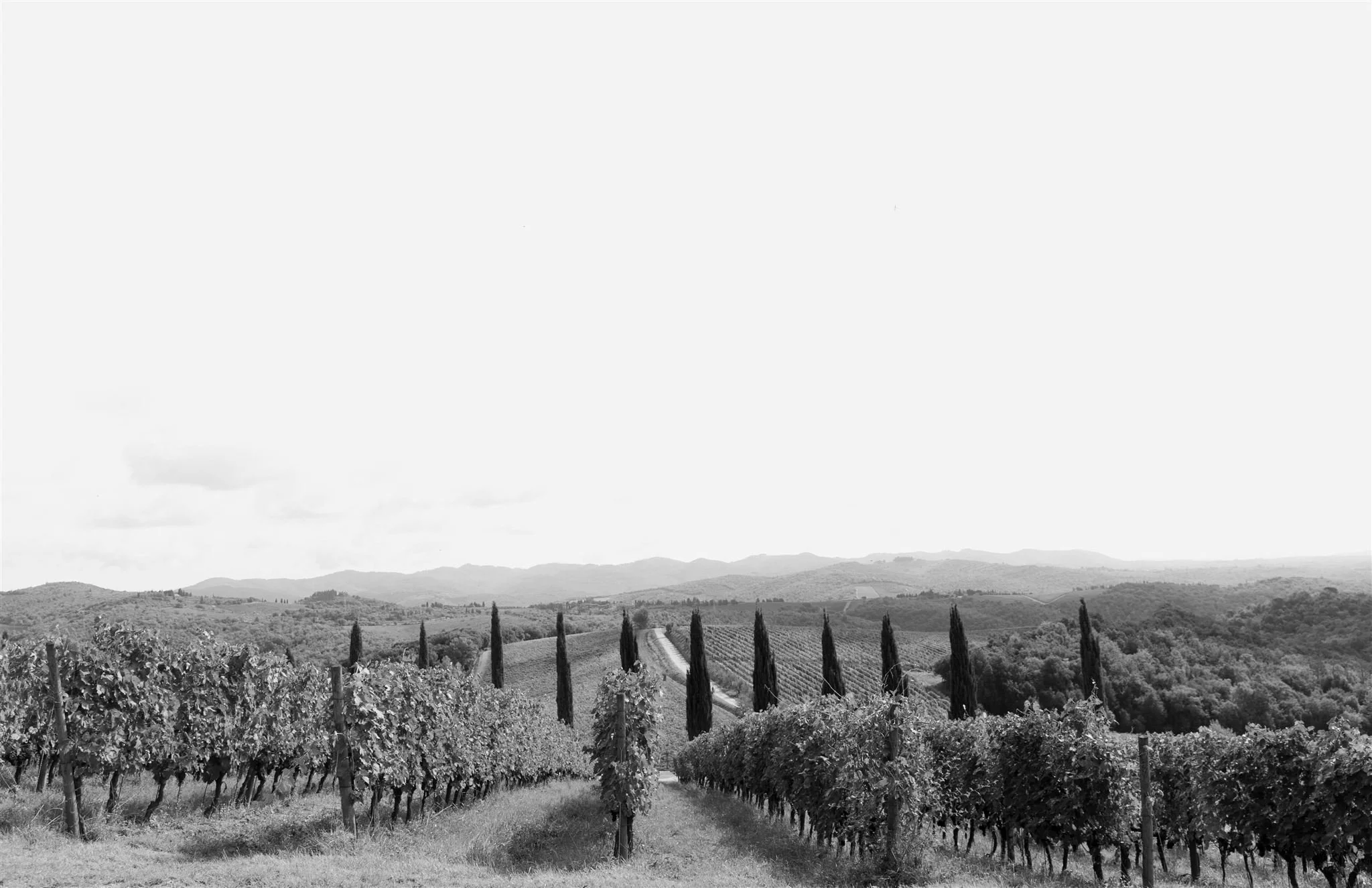 A wedding day at Dievole Wine Resort in the Chianti region of Tuscany, Italy.