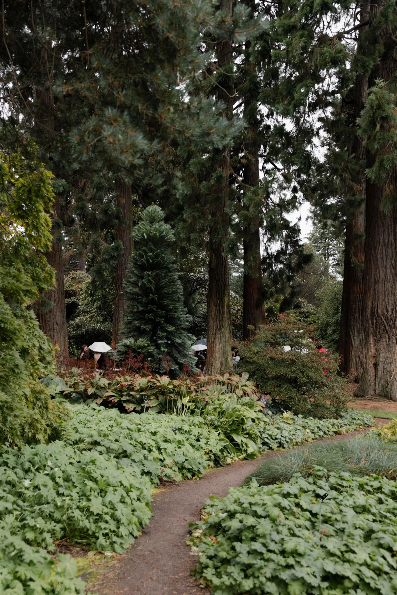 A wedding day at The Royal Botanic Garden Edinburgh in Edinburgh, Scotland.