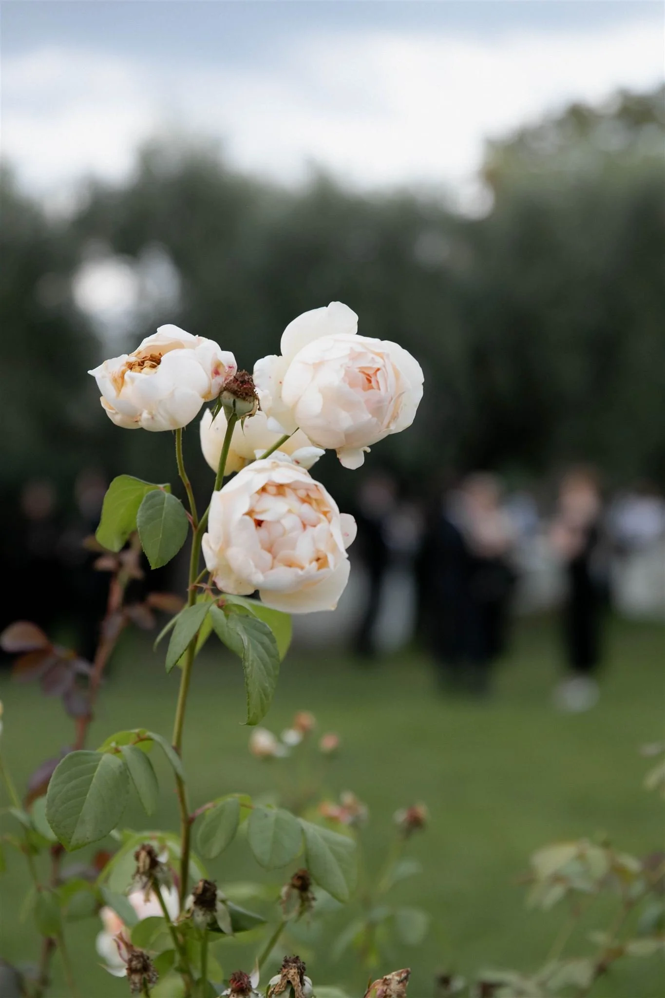 A wedding day at Villa Medicea Di Lilliano in Tuscany, Italy.