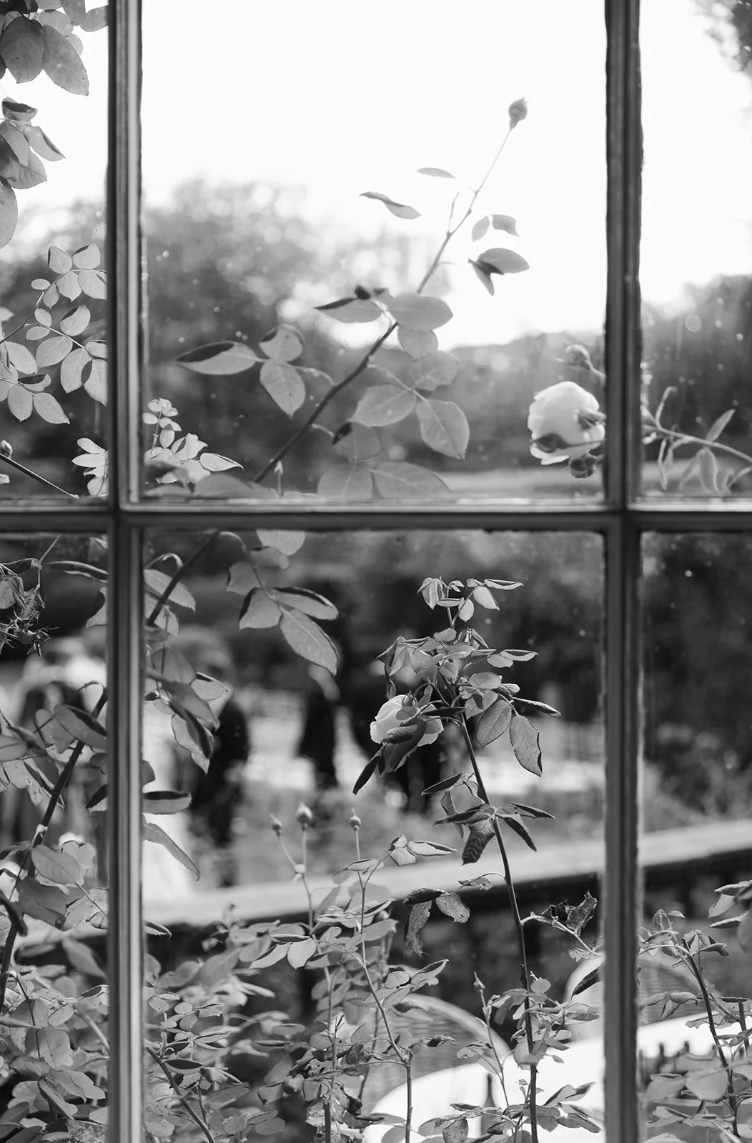 Middleton Lodge Estate wedding day in North Yorkshire.