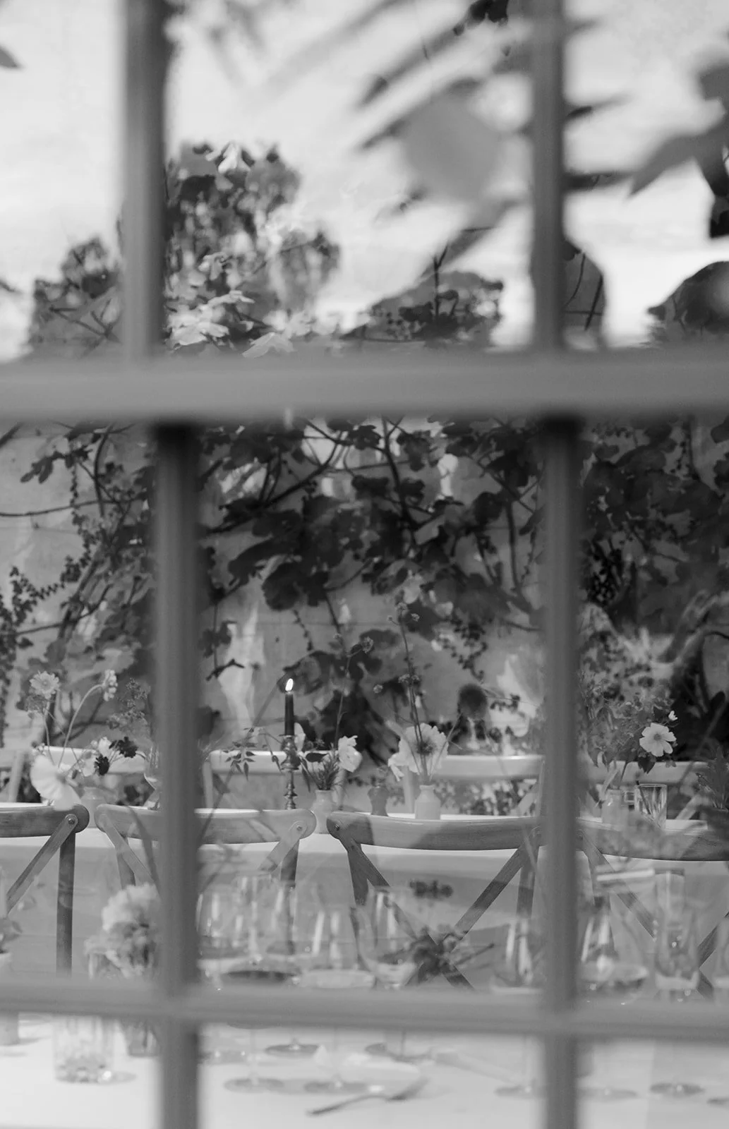 Middleton Lodge Estate wedding reception in the Fig House in the walled garden in North Yorkshire.