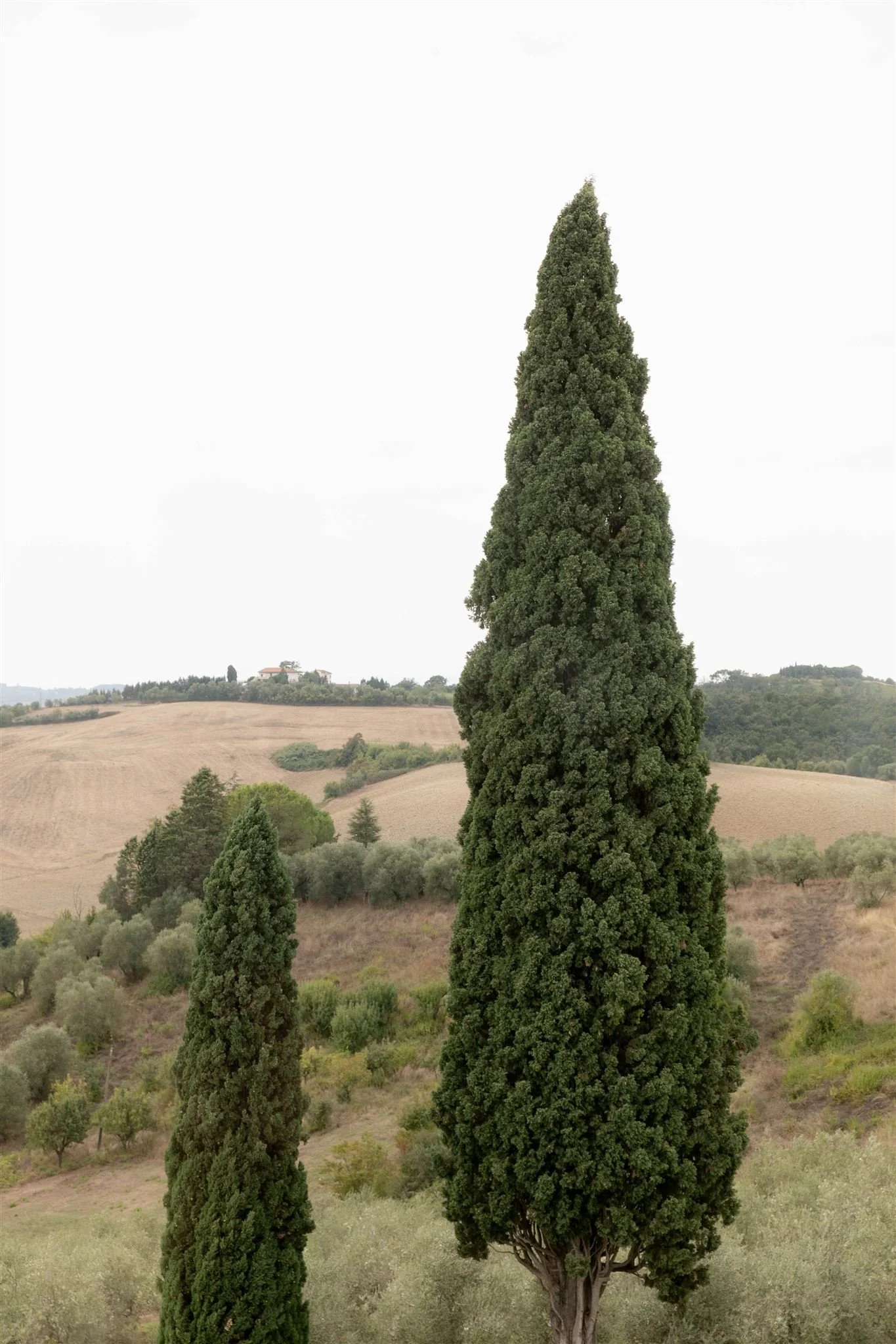 A wedding day at Tenuta Corbinaia Villa in Tuscany, Italy.